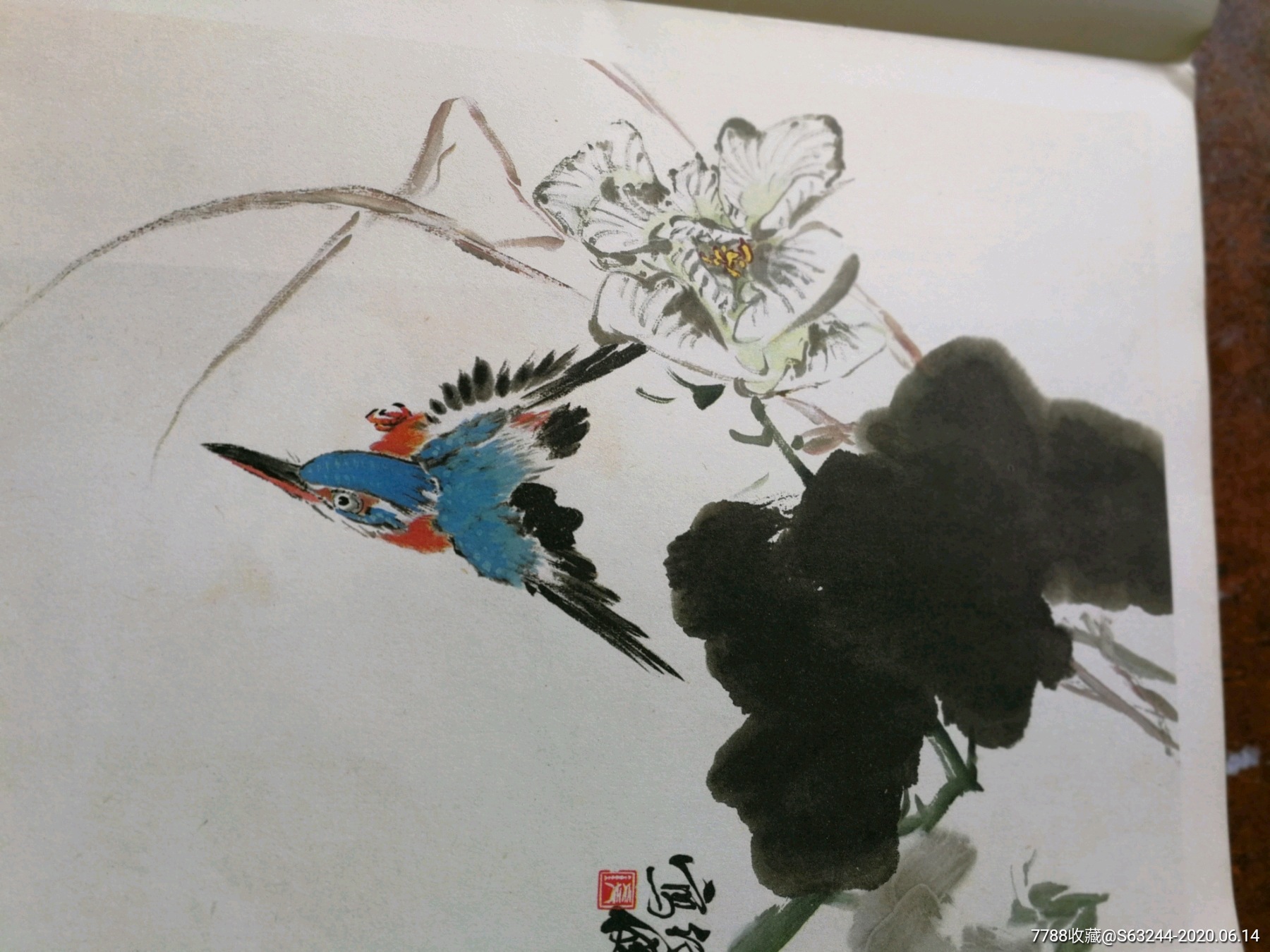 钱行健之《百鸟图》(1983年)-国画画册-7788旧货商城