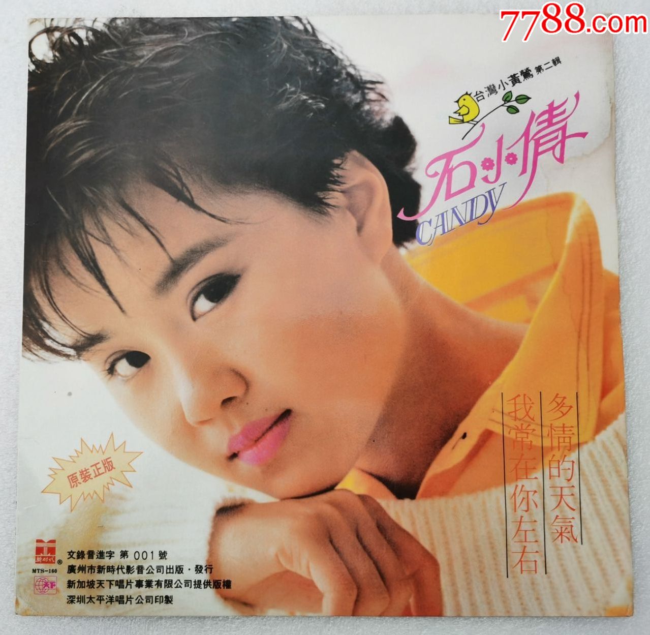 台湾小黄莺