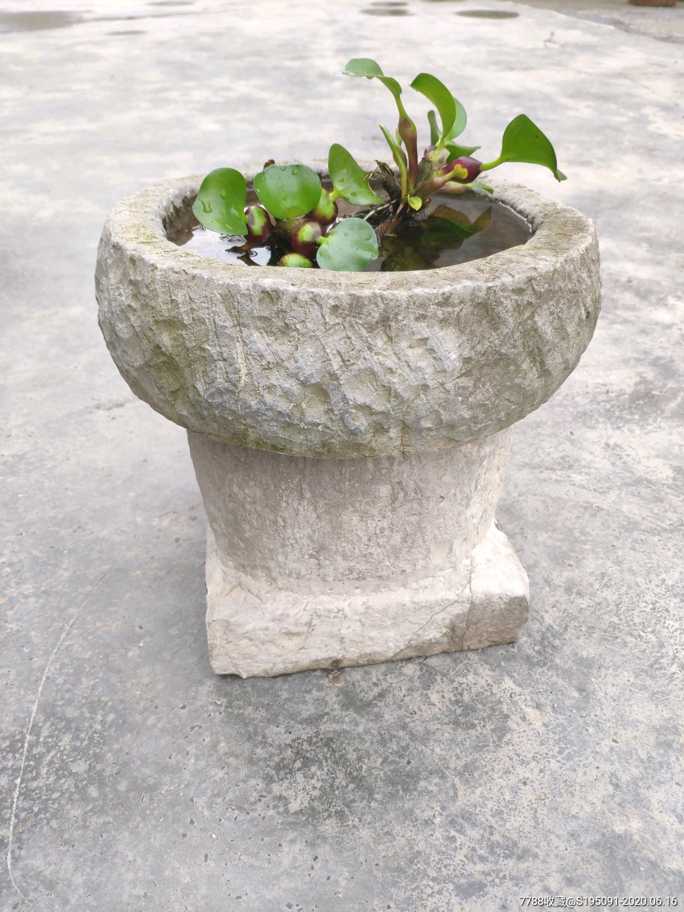 民国风化石盆花盆石墩花几