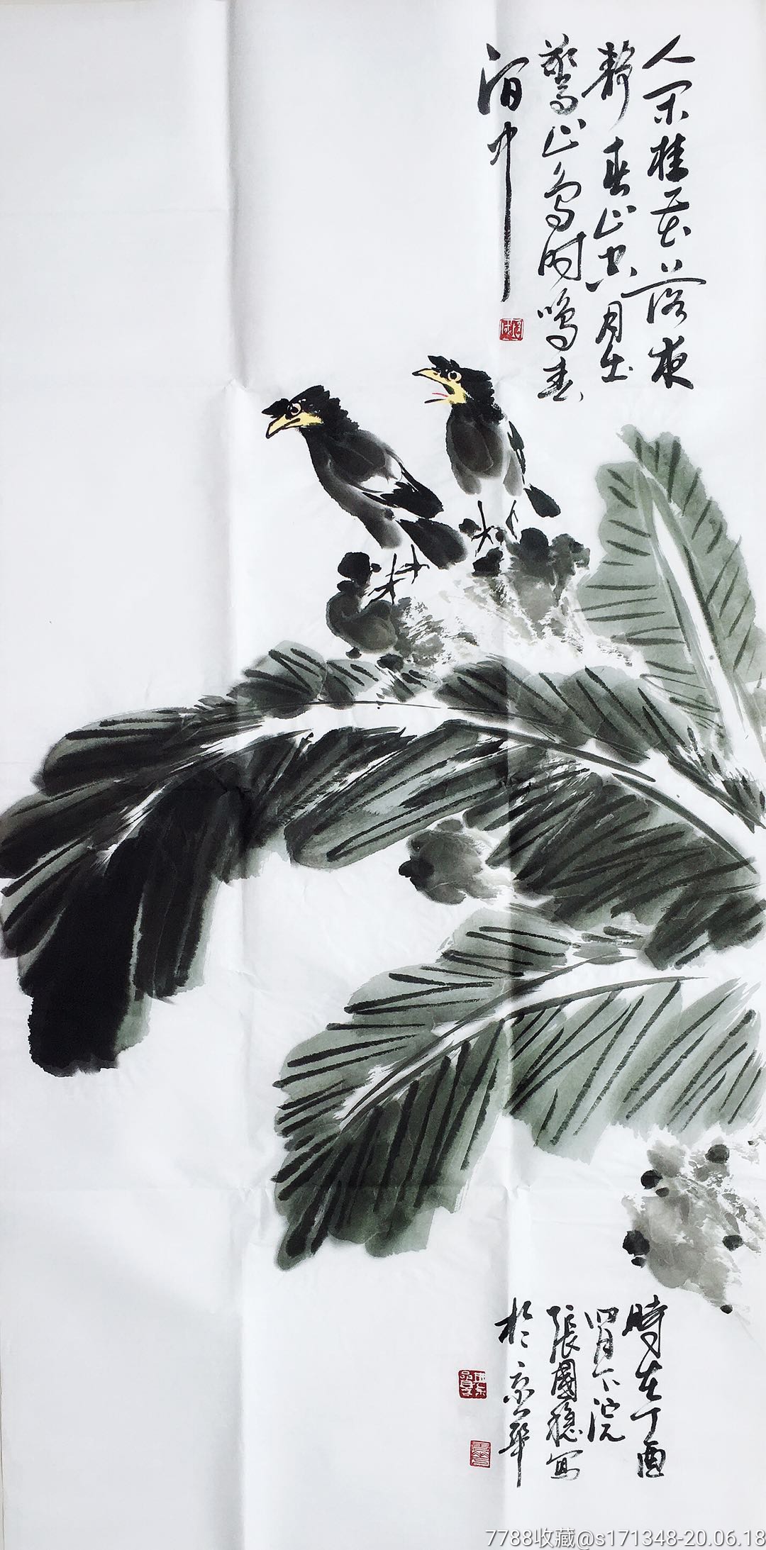 张国稳先生芭蕉图特惠价