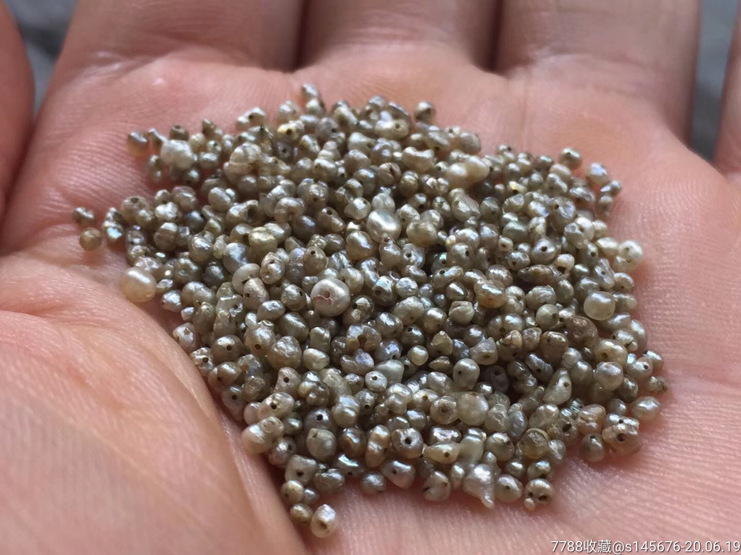 清末民国天然老珍珠