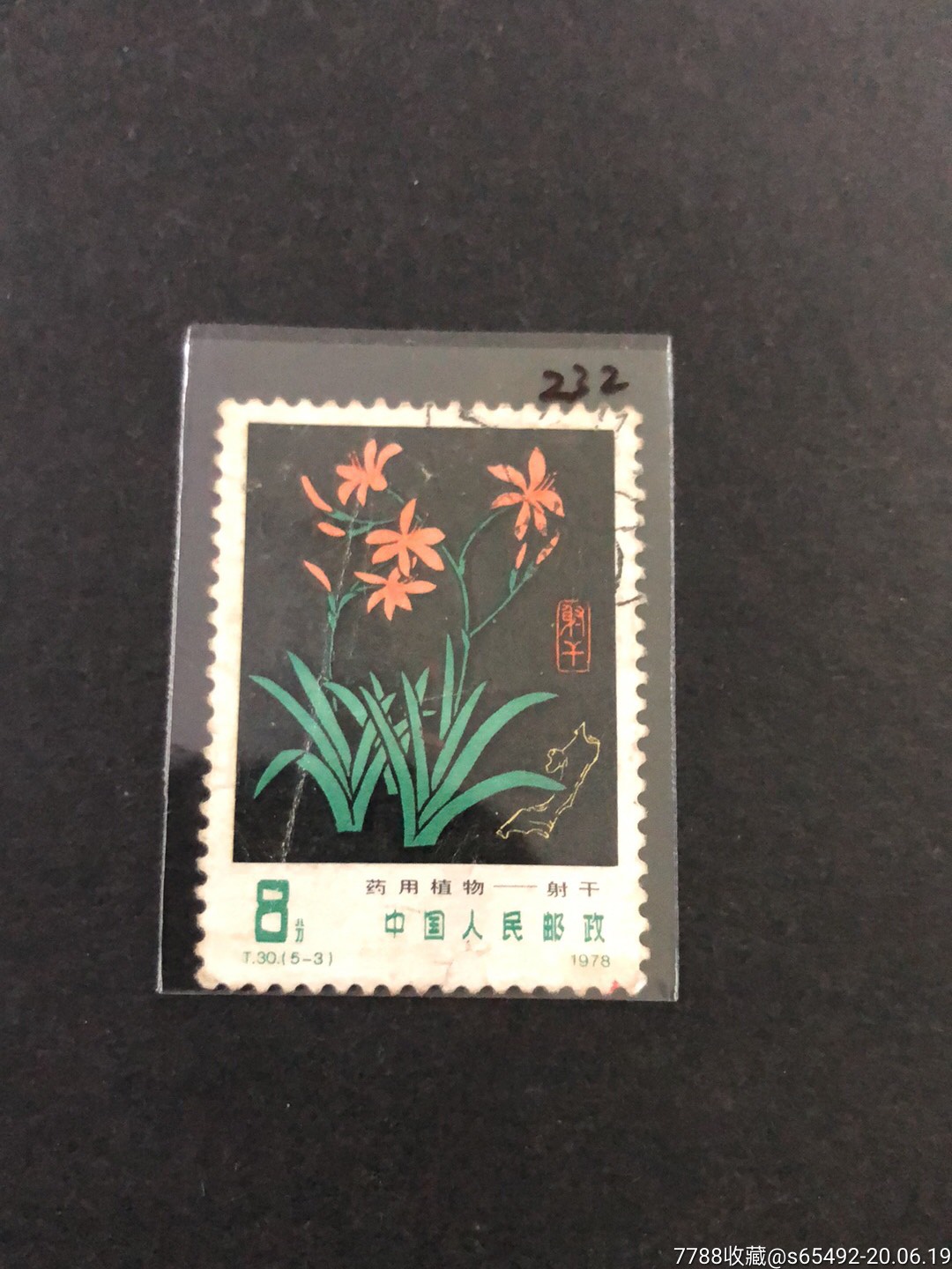 t30药用植物(5-3)-价格:2元-se73785482-新中国邮票-零售-7788收藏