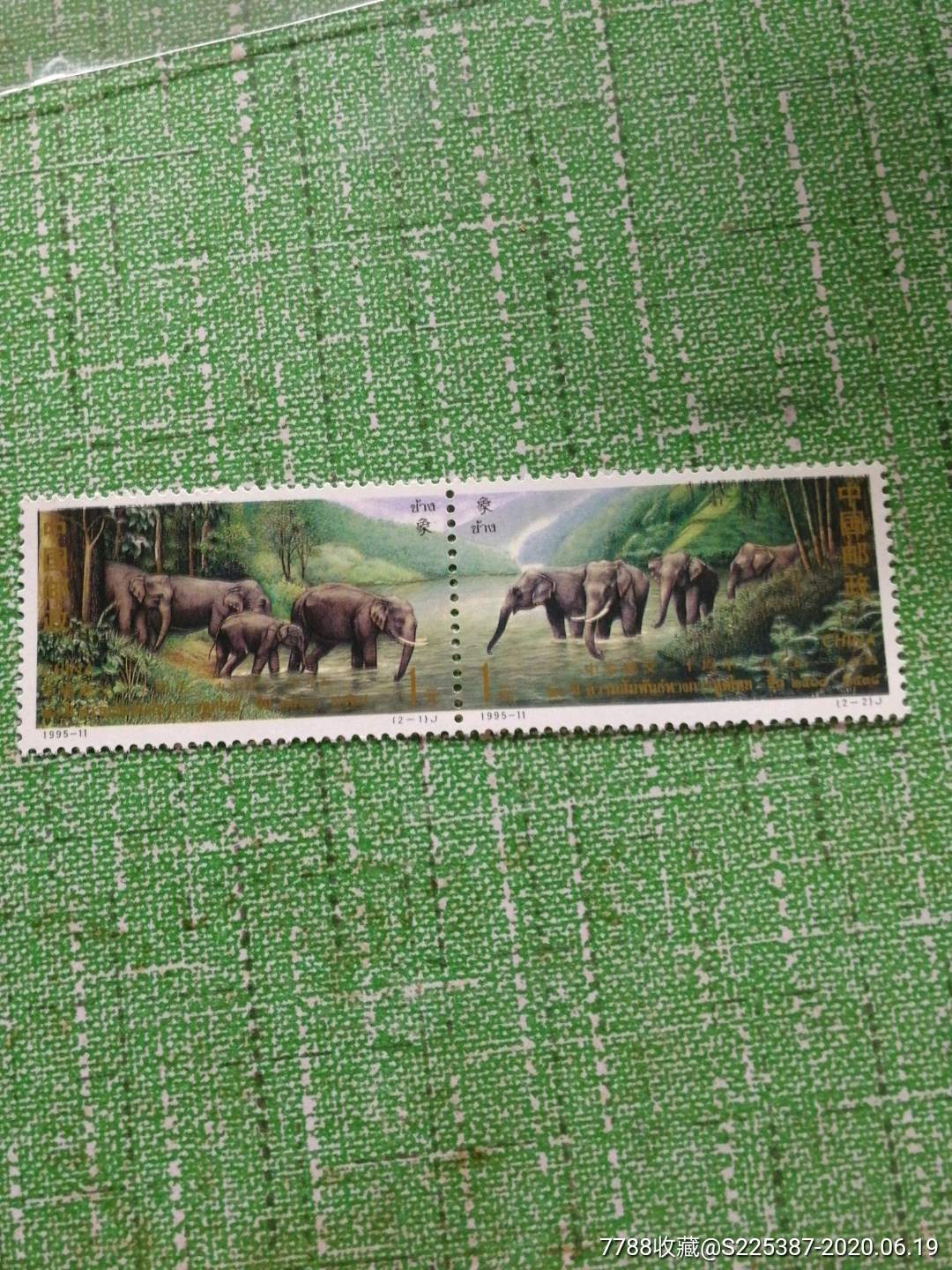 95一11中泰大象-价格:3元-se73789396-新中国邮票-零售-7788收藏