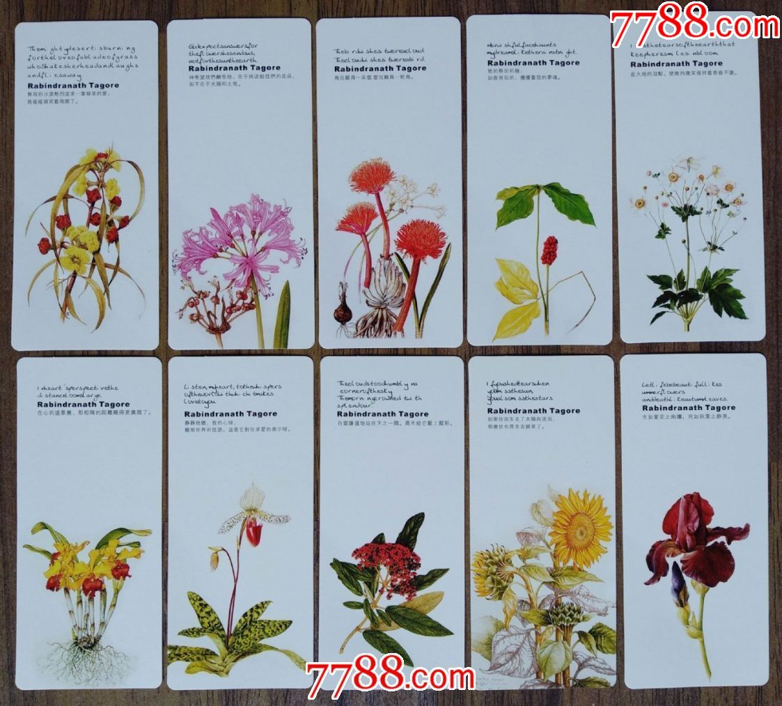 花卉书签(10*1,规格7*16厘米)