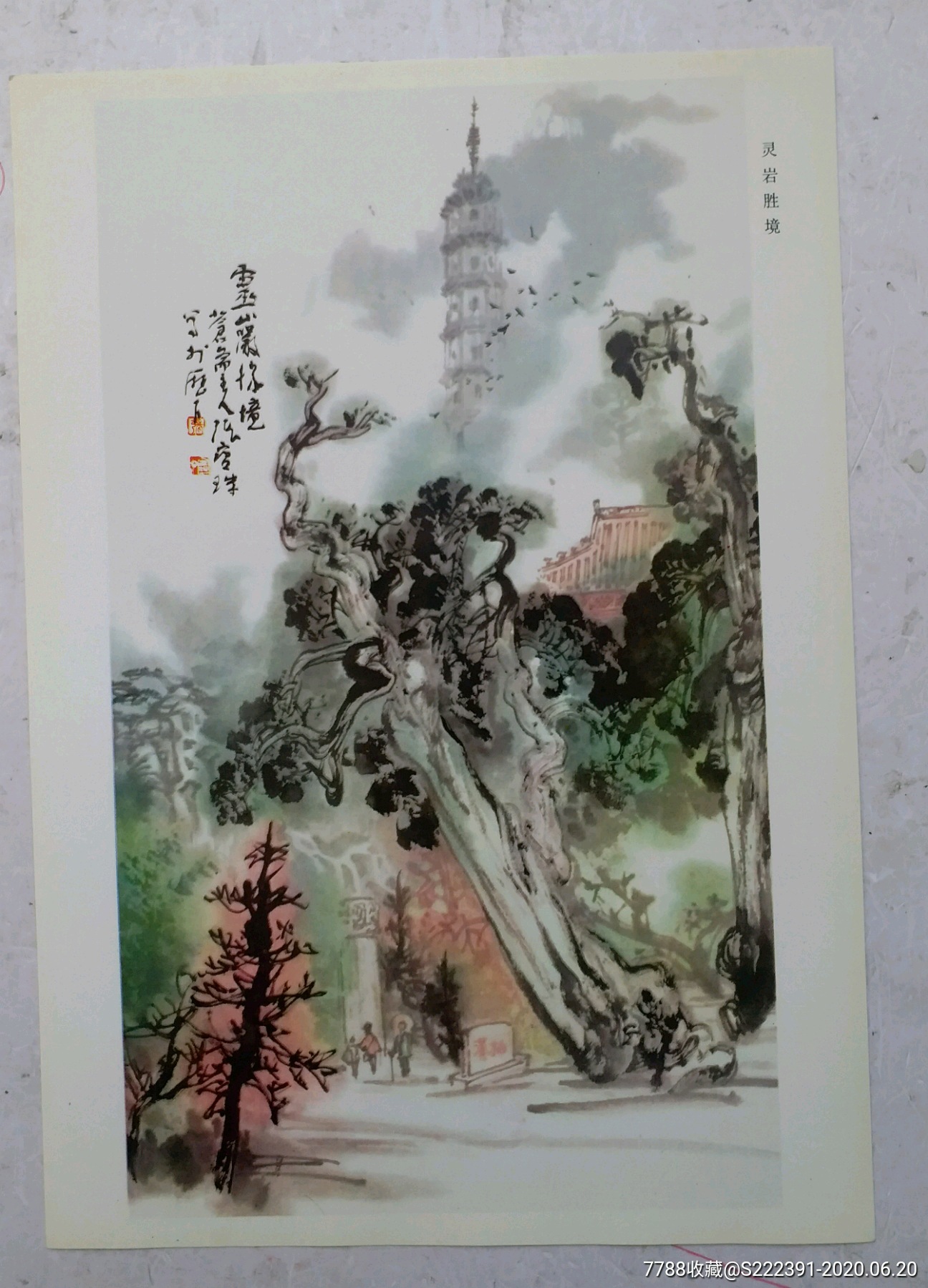 名家松柏画谱张宝珠松柏画谱活页画松柏特点而名扬画坛