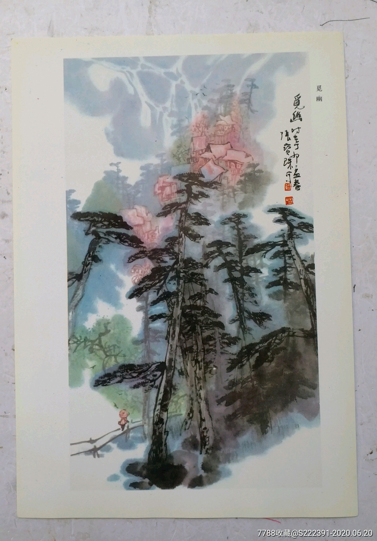 名家松柏画谱张宝珠松柏画谱活页画松柏特点而名扬画坛