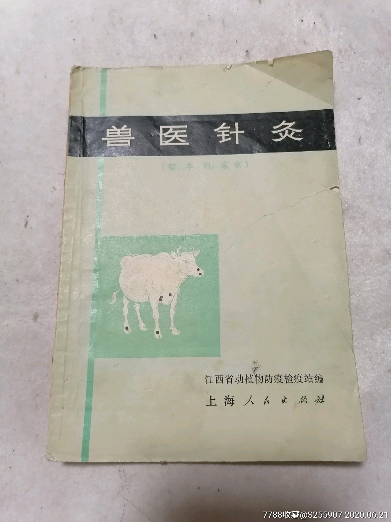 兽医针灸猪牛附家禽