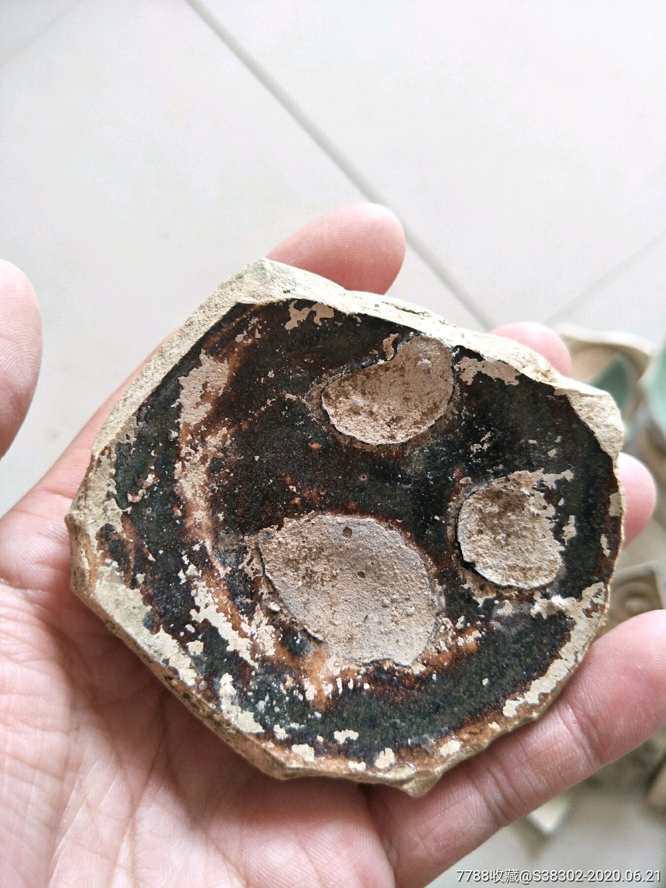 宋元时期古瓷片一枚临清运河古玩店万枚瓷片标本馆