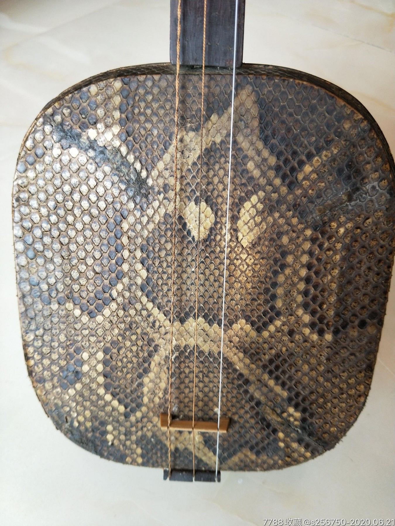 老红木三弦做工精致,蟒皮完好,花纹漂亮