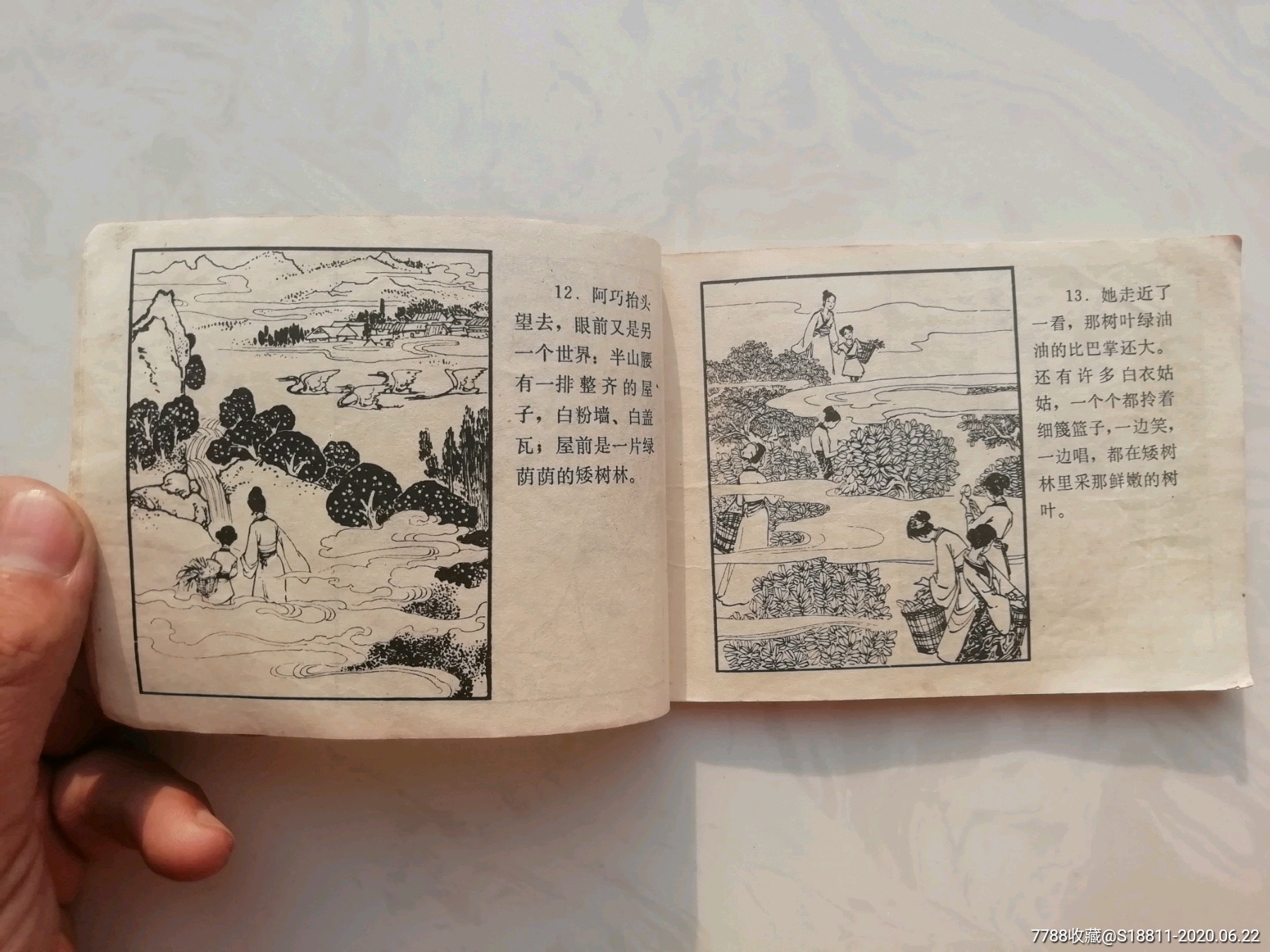 蚕花娘子(缺本)