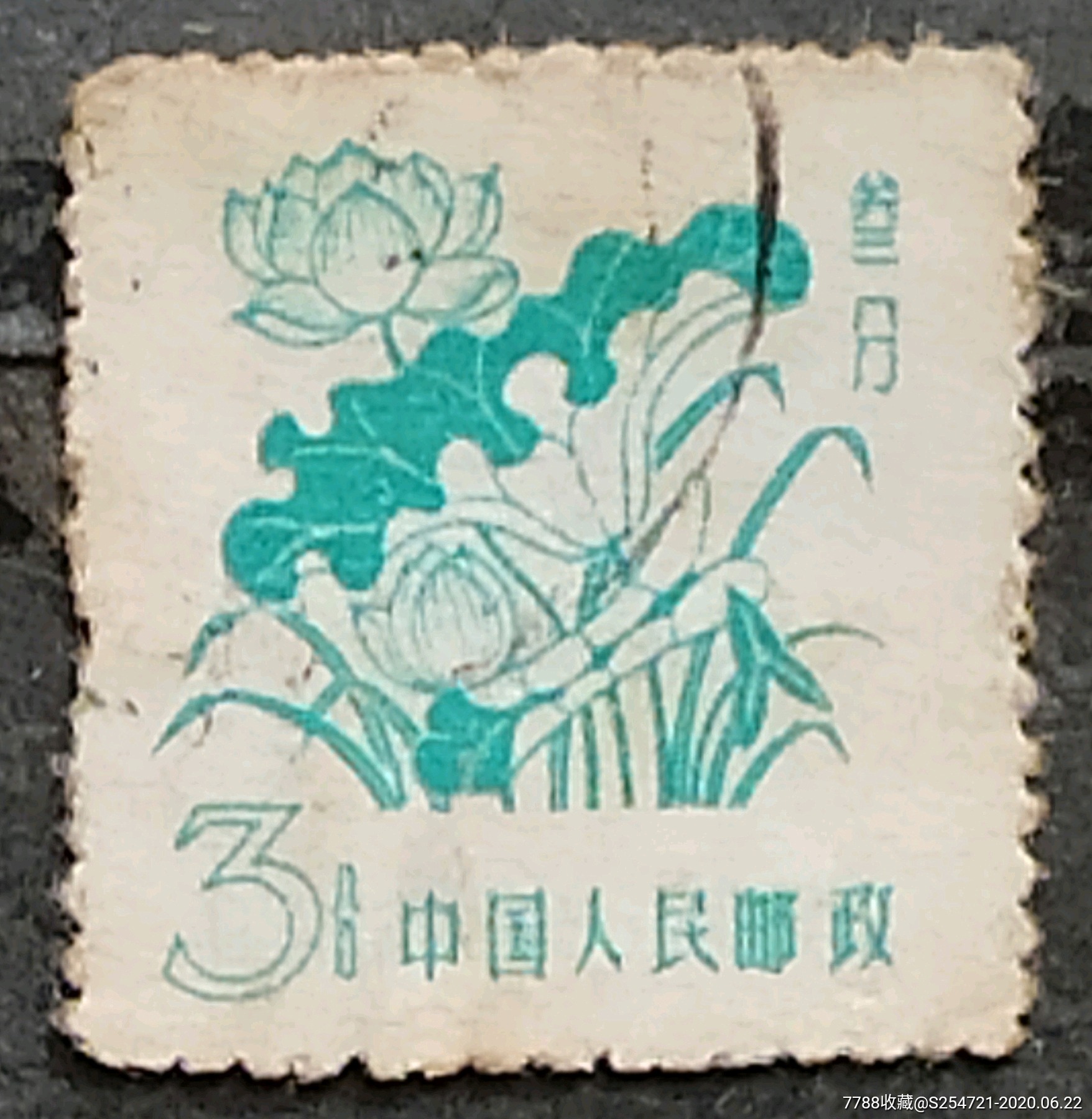 普10,花卉,面值3分-新中国邮票-7788邮票收藏