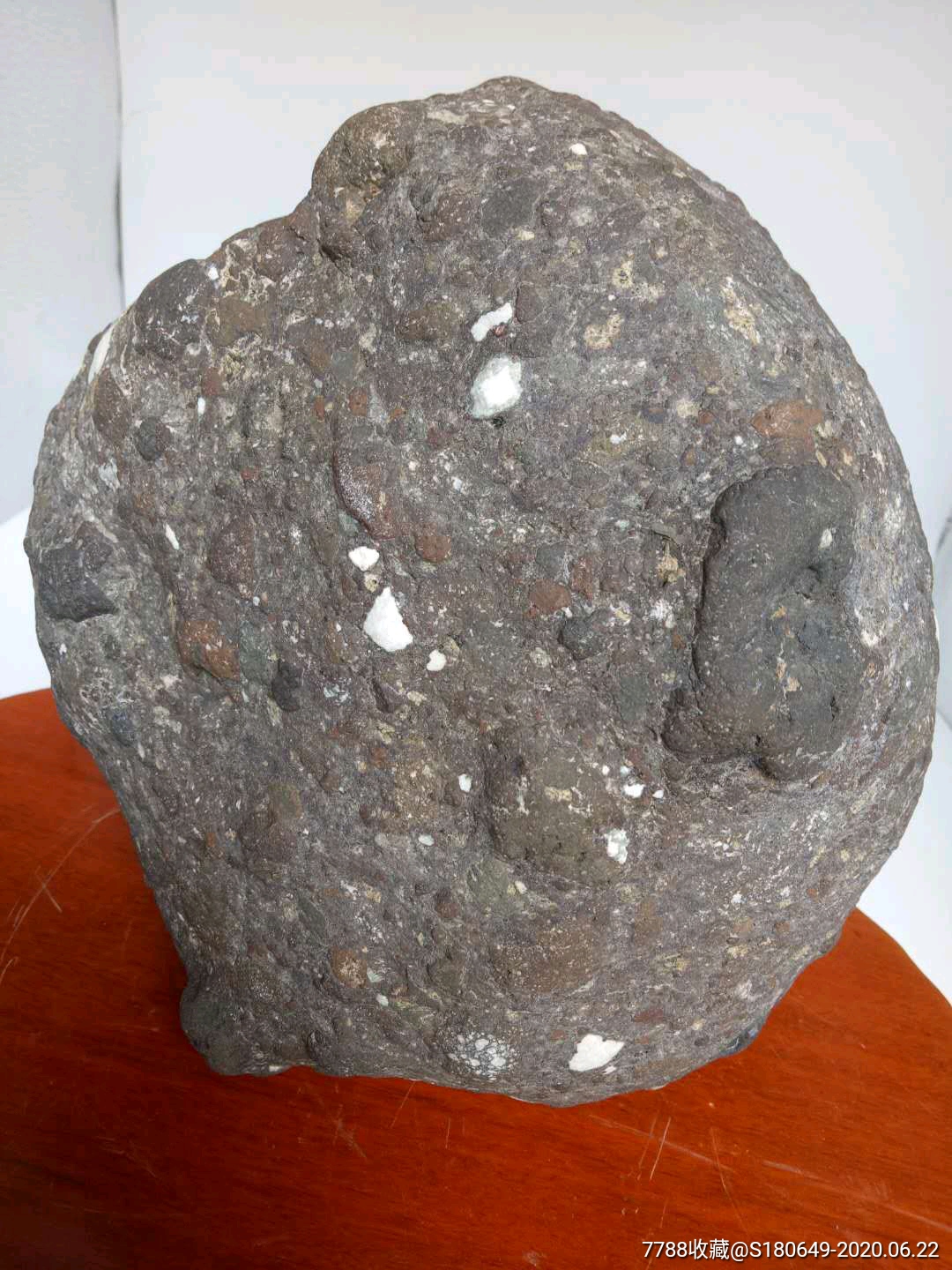 金属球粒陨石(中磁)