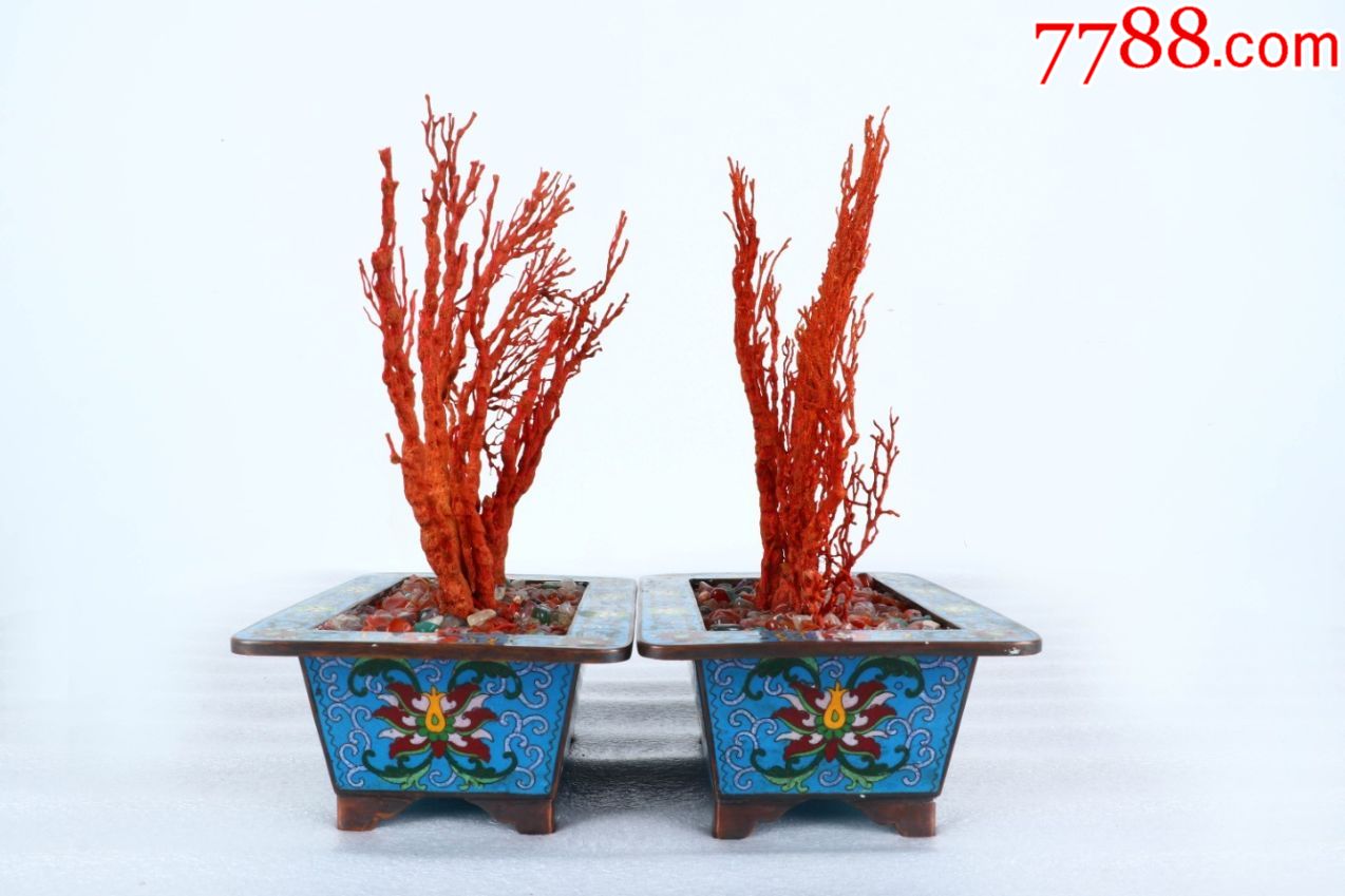 旧藏景泰蓝珊瑚花纹盆一对_价格32000元_第1张_7788商城__七七八八