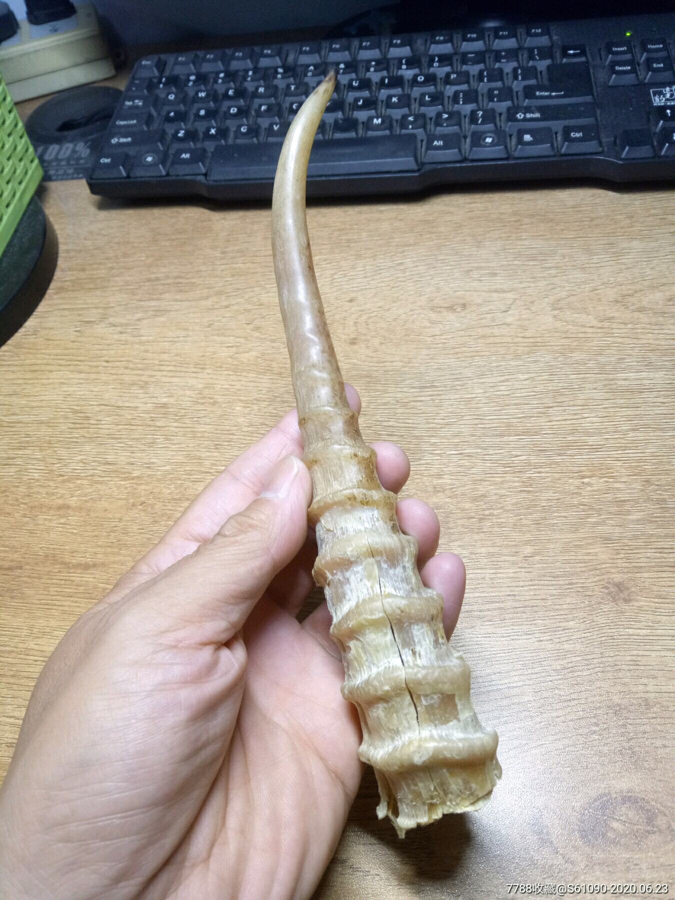 真正的中医用的羊角药材