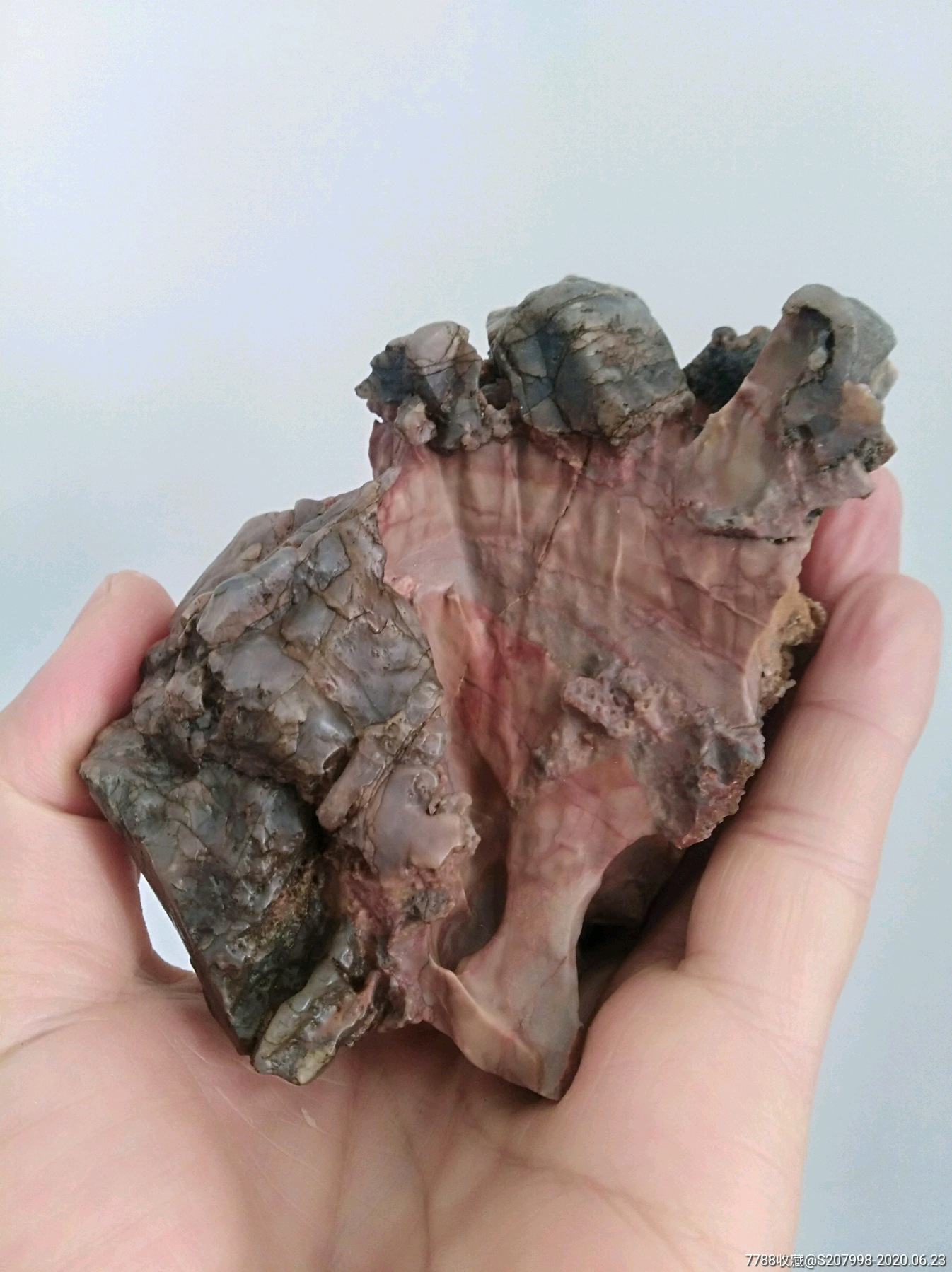 阿拉善戈壁石种类图片