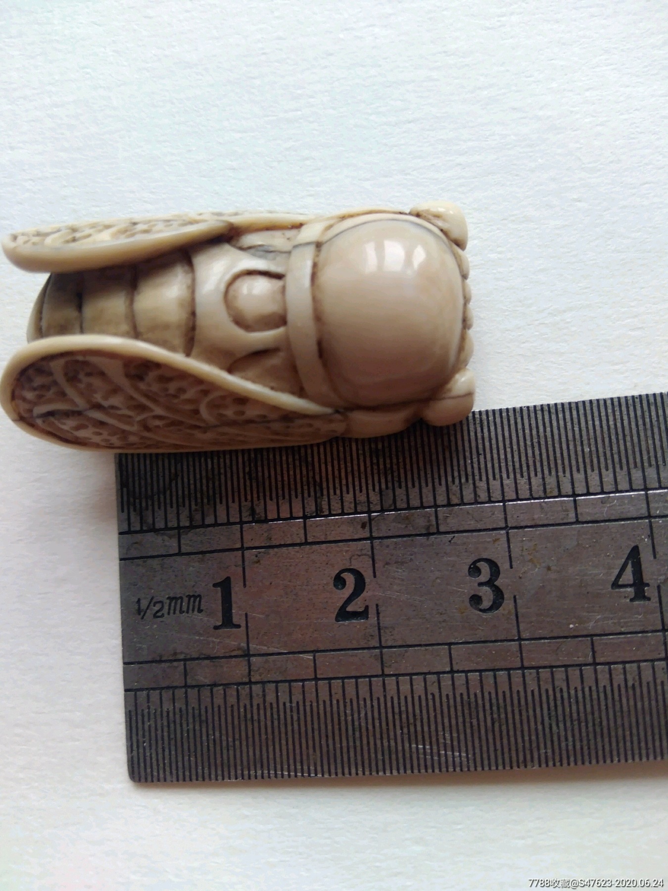 骨头蝉-骨雕-7788旧货商城