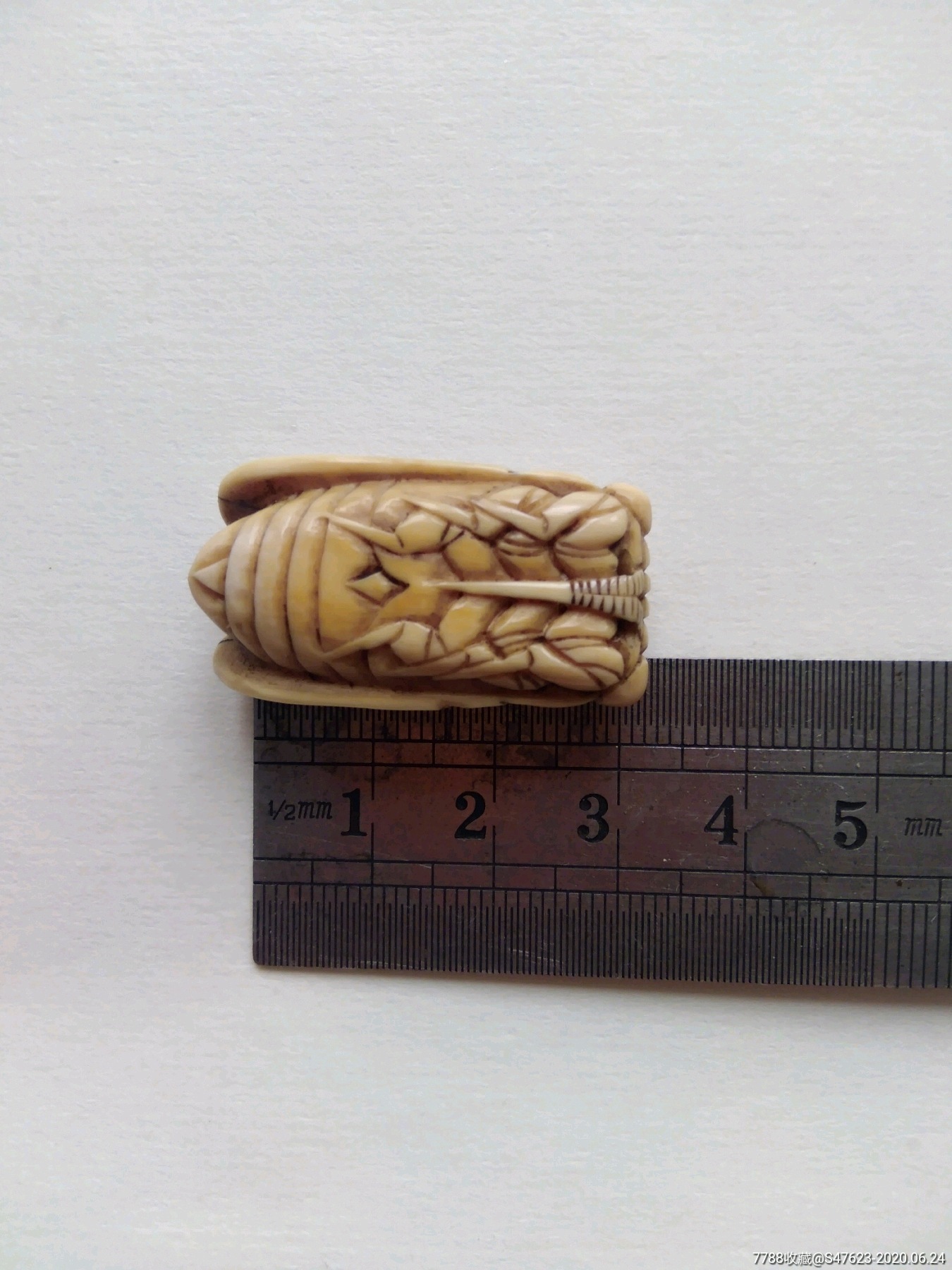 骨头蝉-骨雕-7788旧货商城