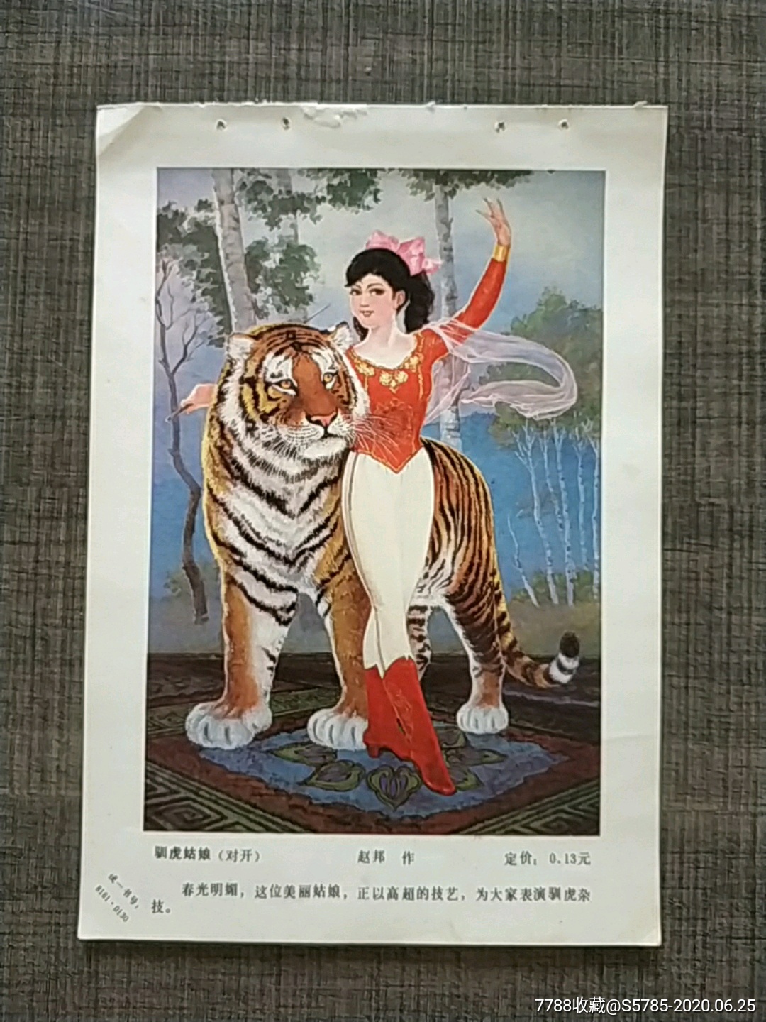 驯虎姑娘--赵邦作