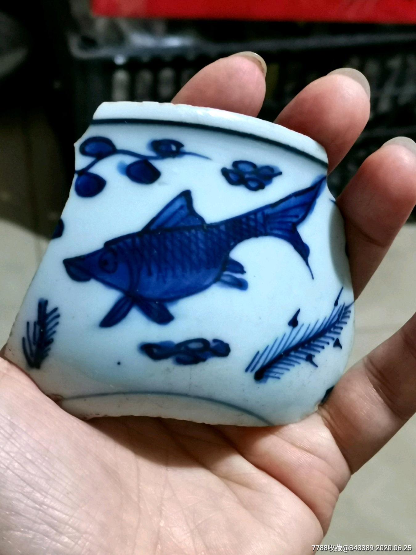 明嘉靖典型回青料鱼图标本.