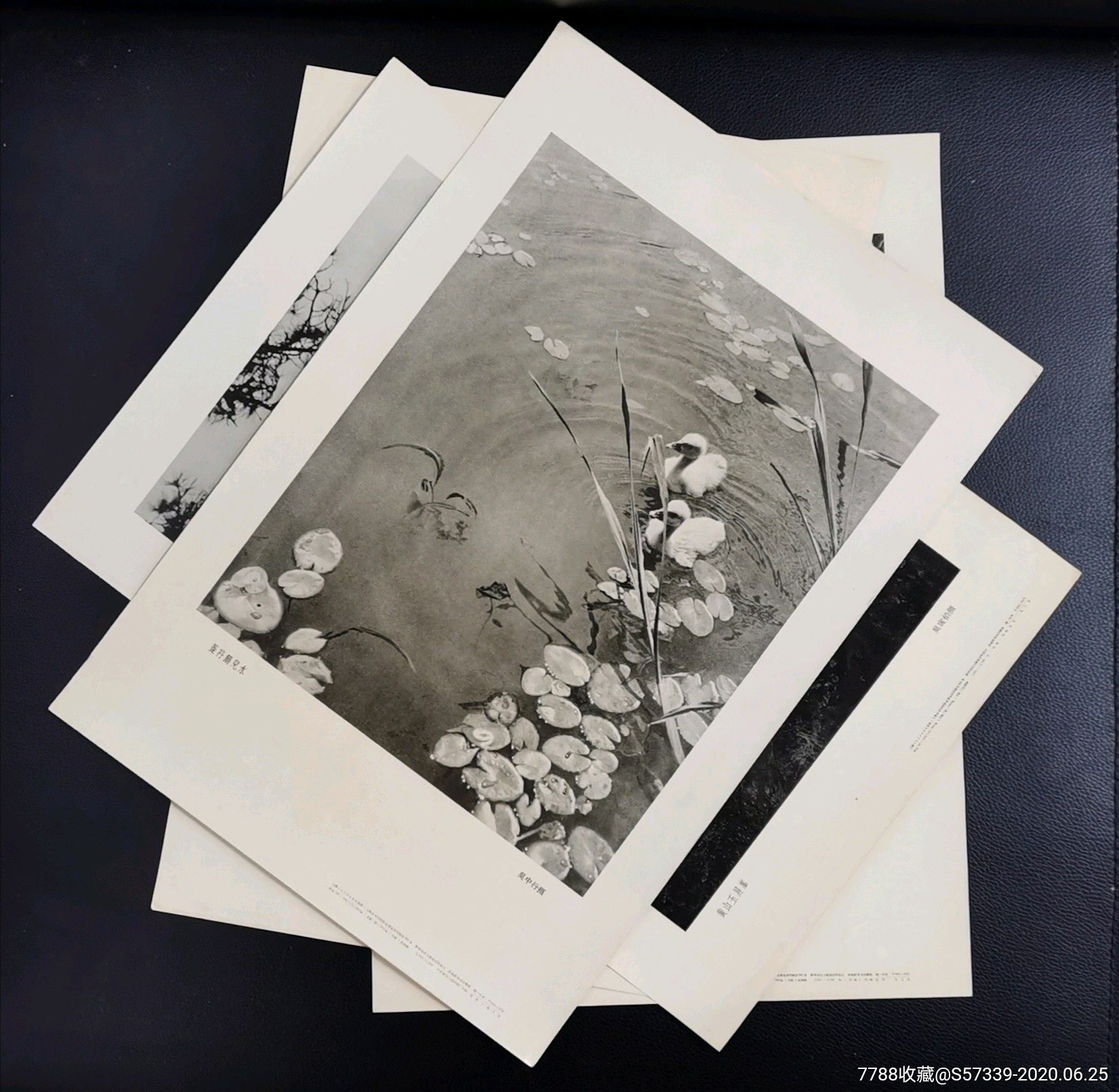 名家摄影作品:《菱荇鹅儿水》吴中行摄,《黄山玉屏峯》吴寅伯摄