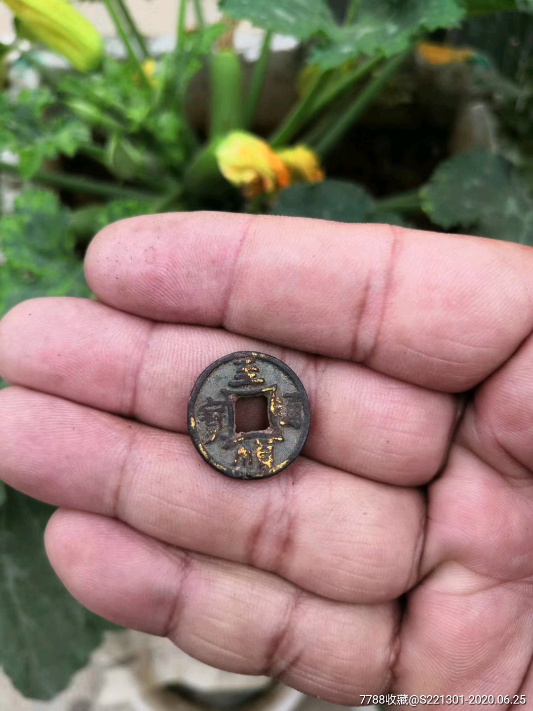 元,至顺通宝背护圣