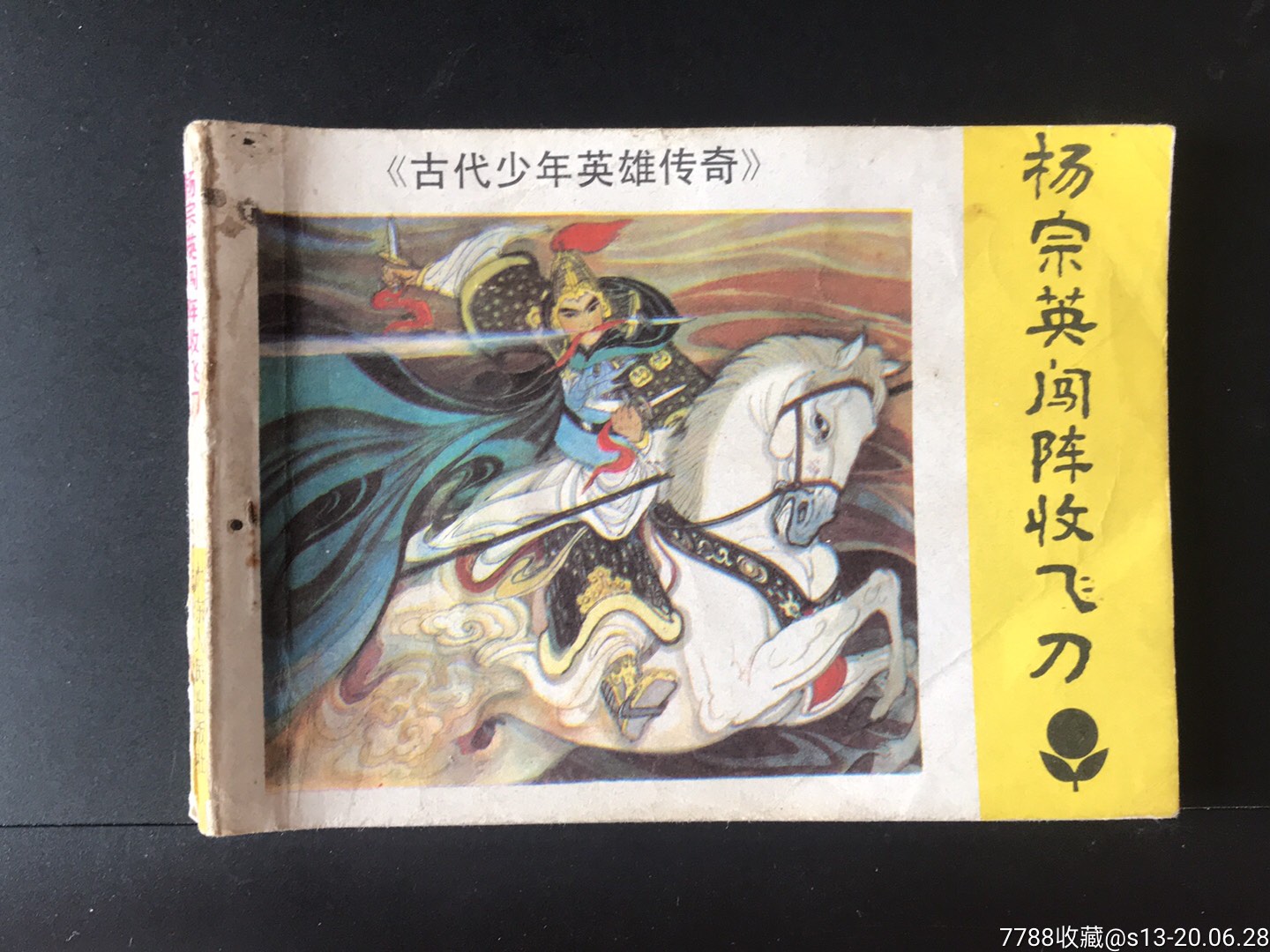 杨宗英闯阵收飞刀(古代少年英雄传奇)