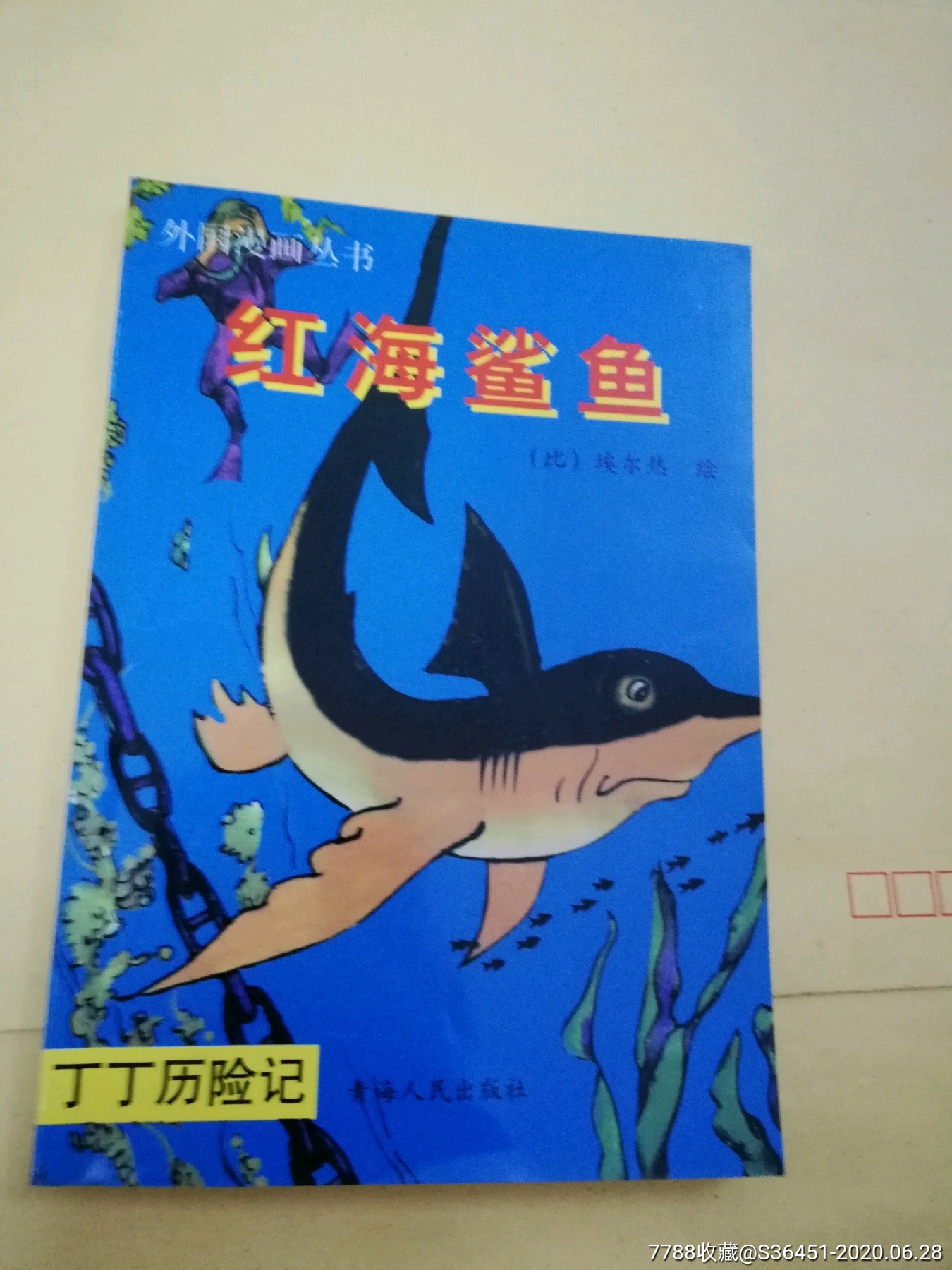 红海鲨鱼丁丁历险记