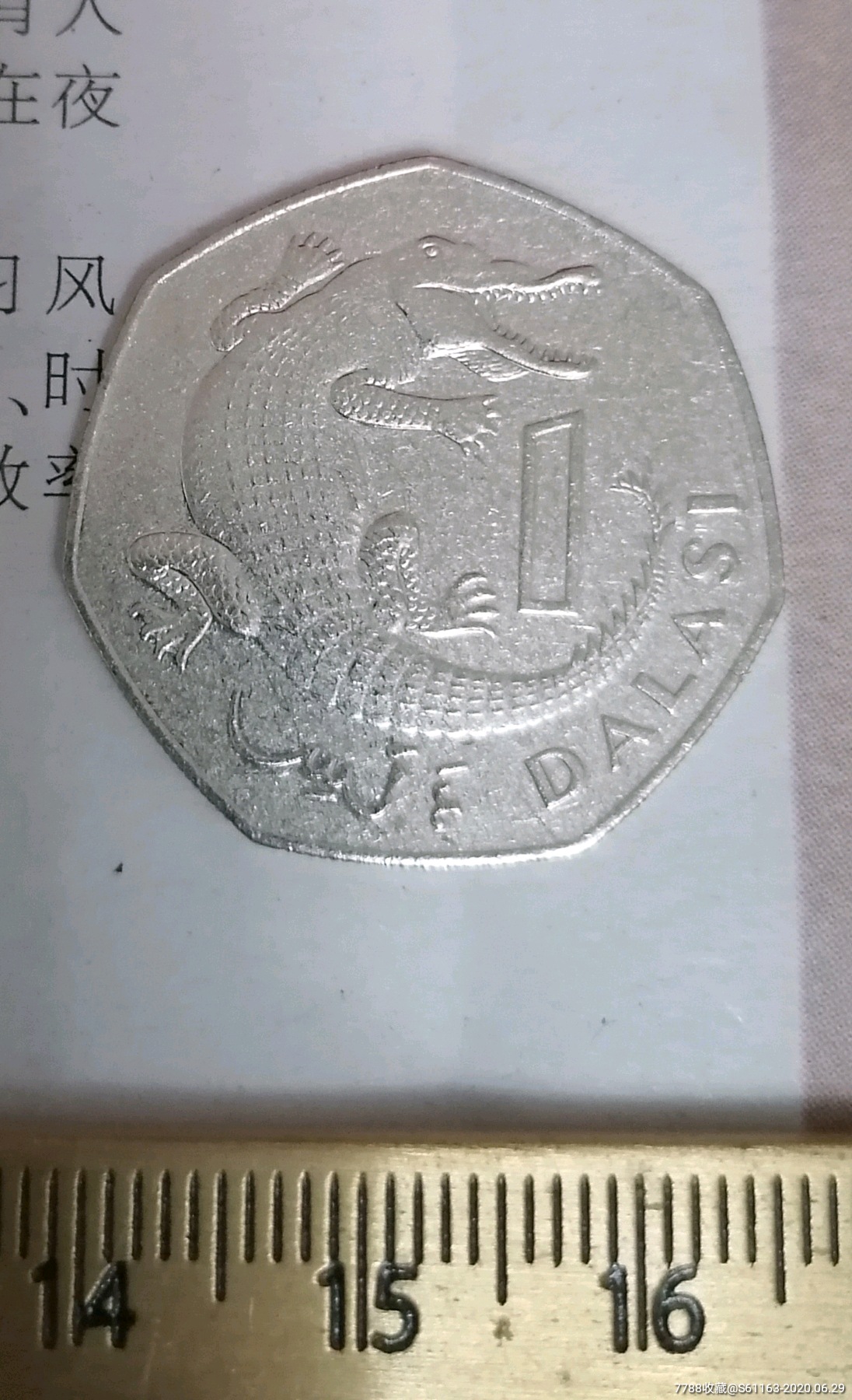 一达拉西鳄鱼大硬币