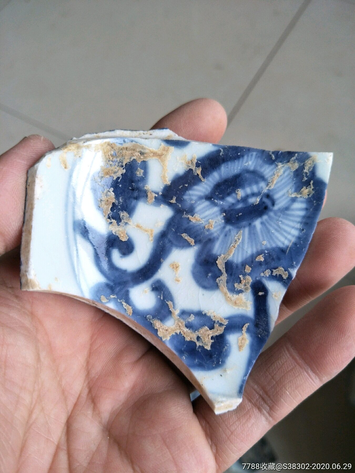 片一枚临清运河古玩店万枚瓷片标本馆_价格39元_第1张_7788收藏__收藏