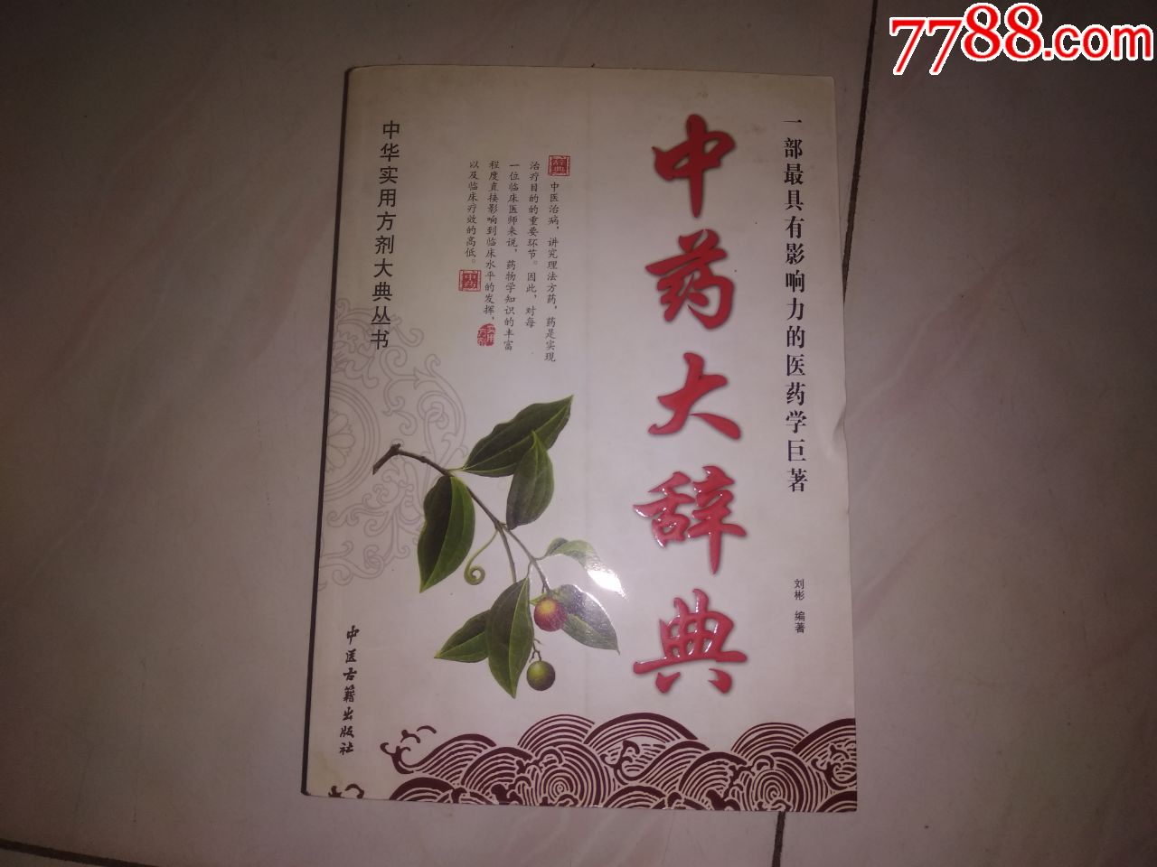 中药大辞典