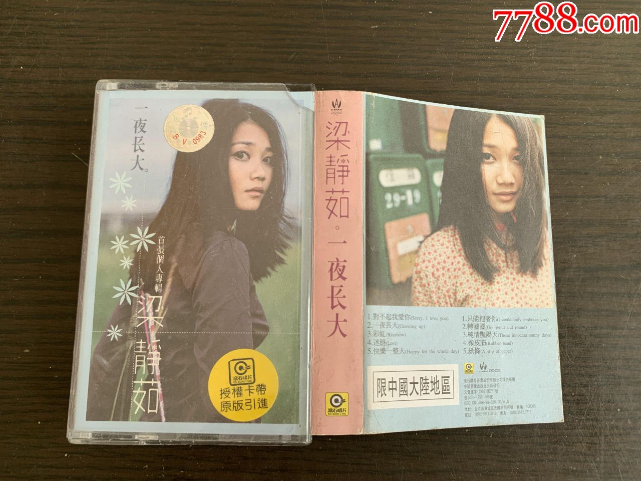 梁静茹--一夜长大