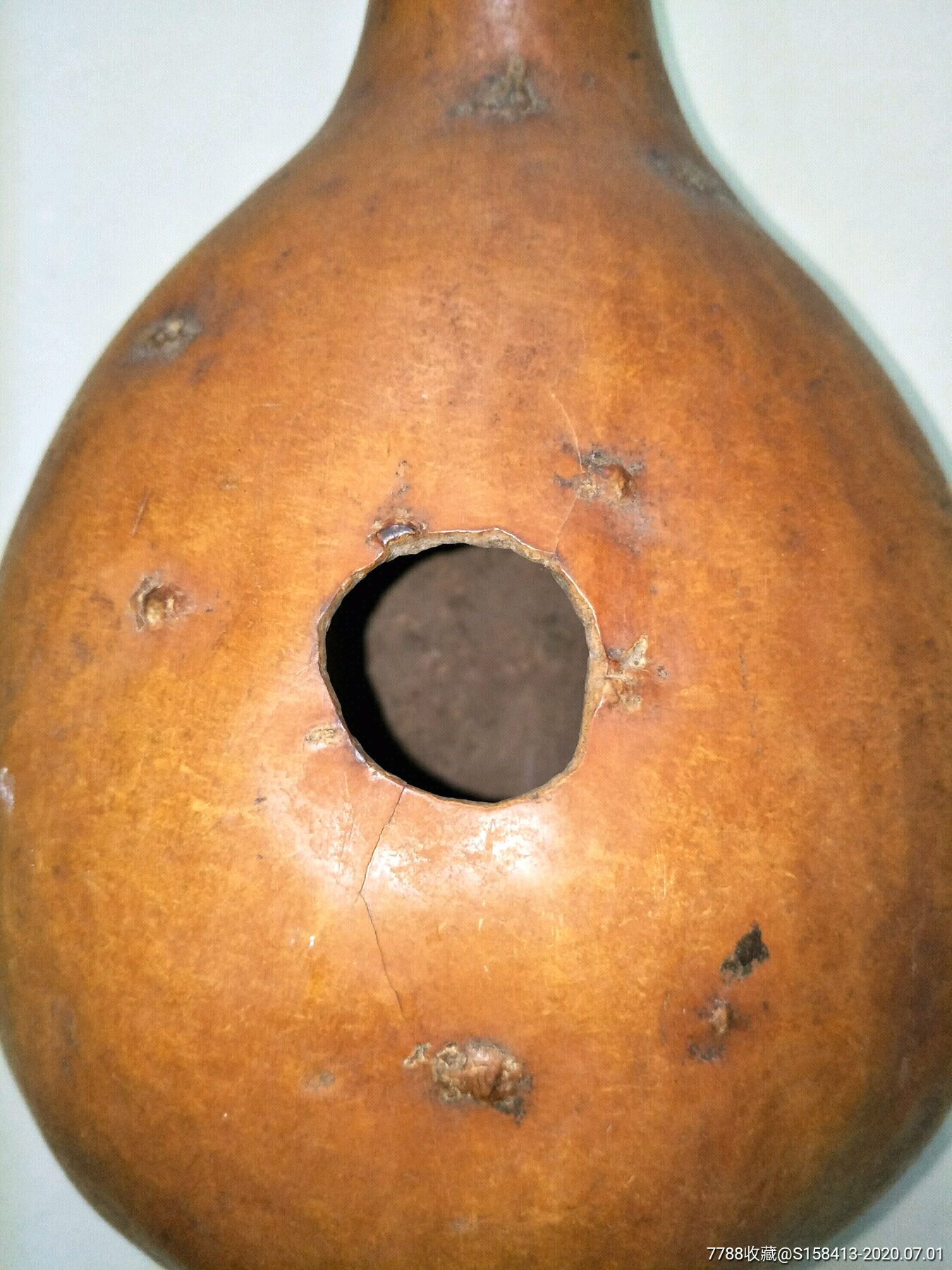 1米长葫芦播种器-农用工具-7788旧货商城