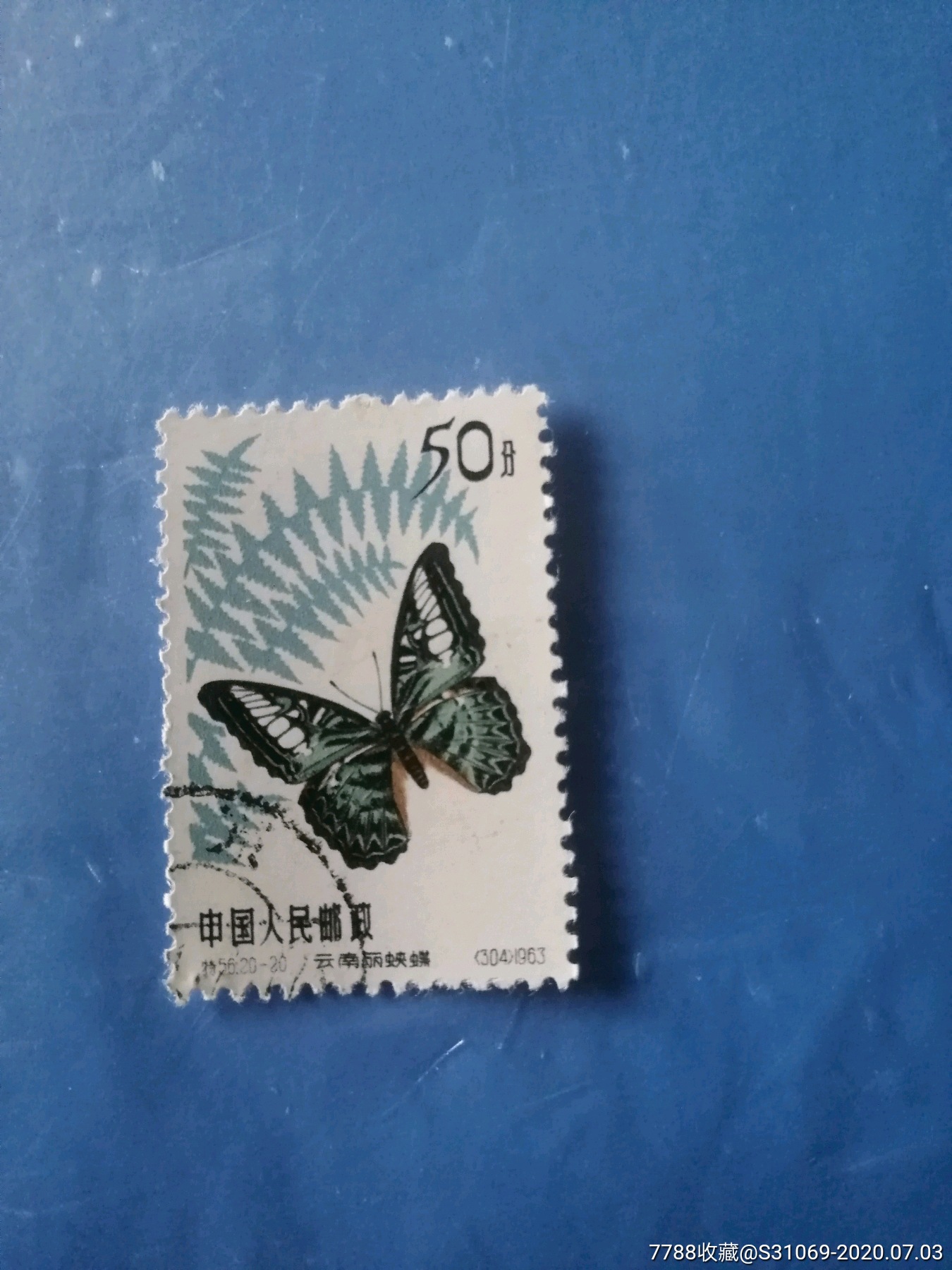 蝴蝶50分盖销,新中国邮票_第1张_7788邮票收藏