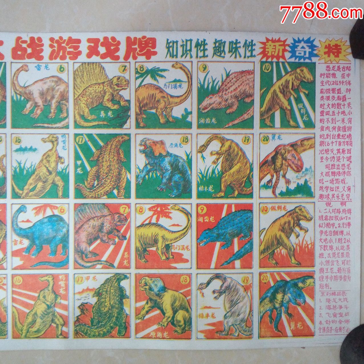 80年代正宗动物智力游戏牌第一集恐龙大战游戏牌1