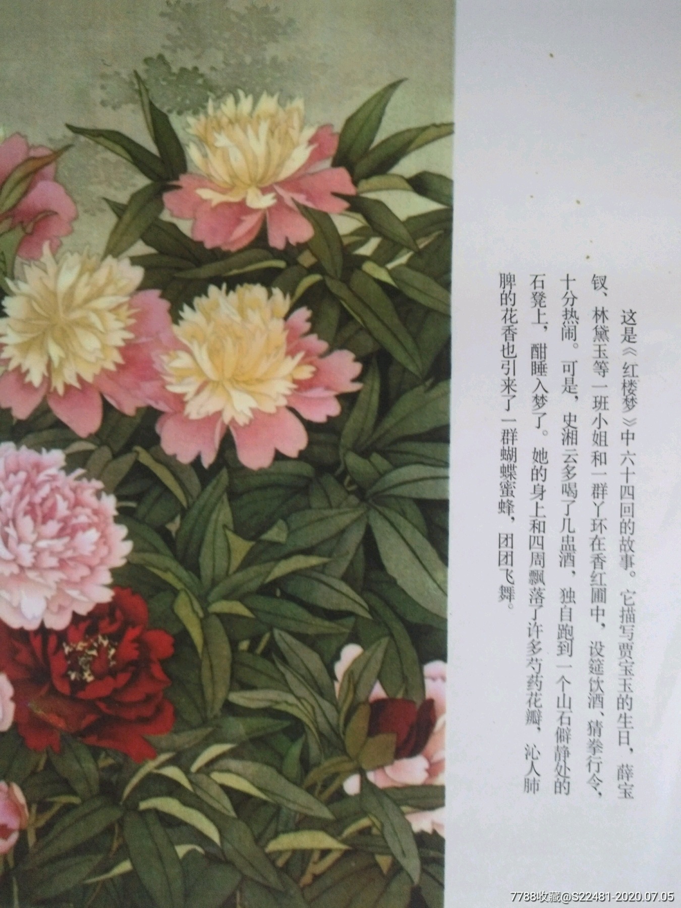 红楼梦之史湘云醉卧芍药铟-----刘淑晖大师绘画,非常精美