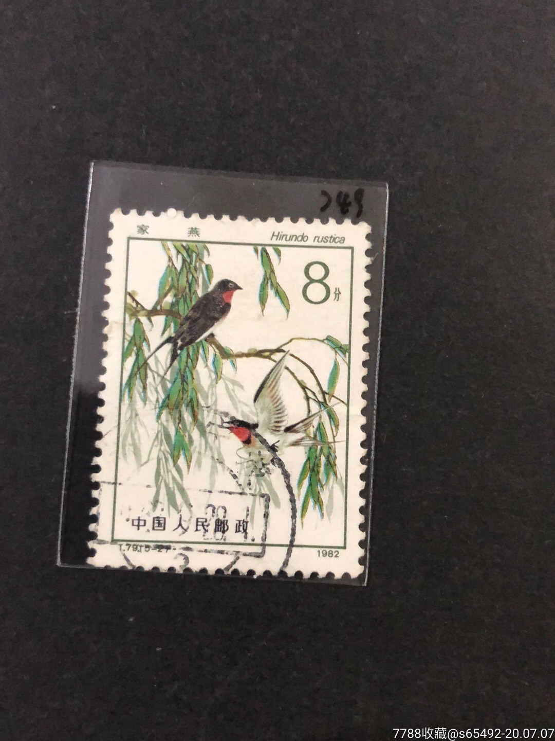 t79益鸟(5-2)_新中国邮票_收藏行情_回收价格_7788邮票收藏