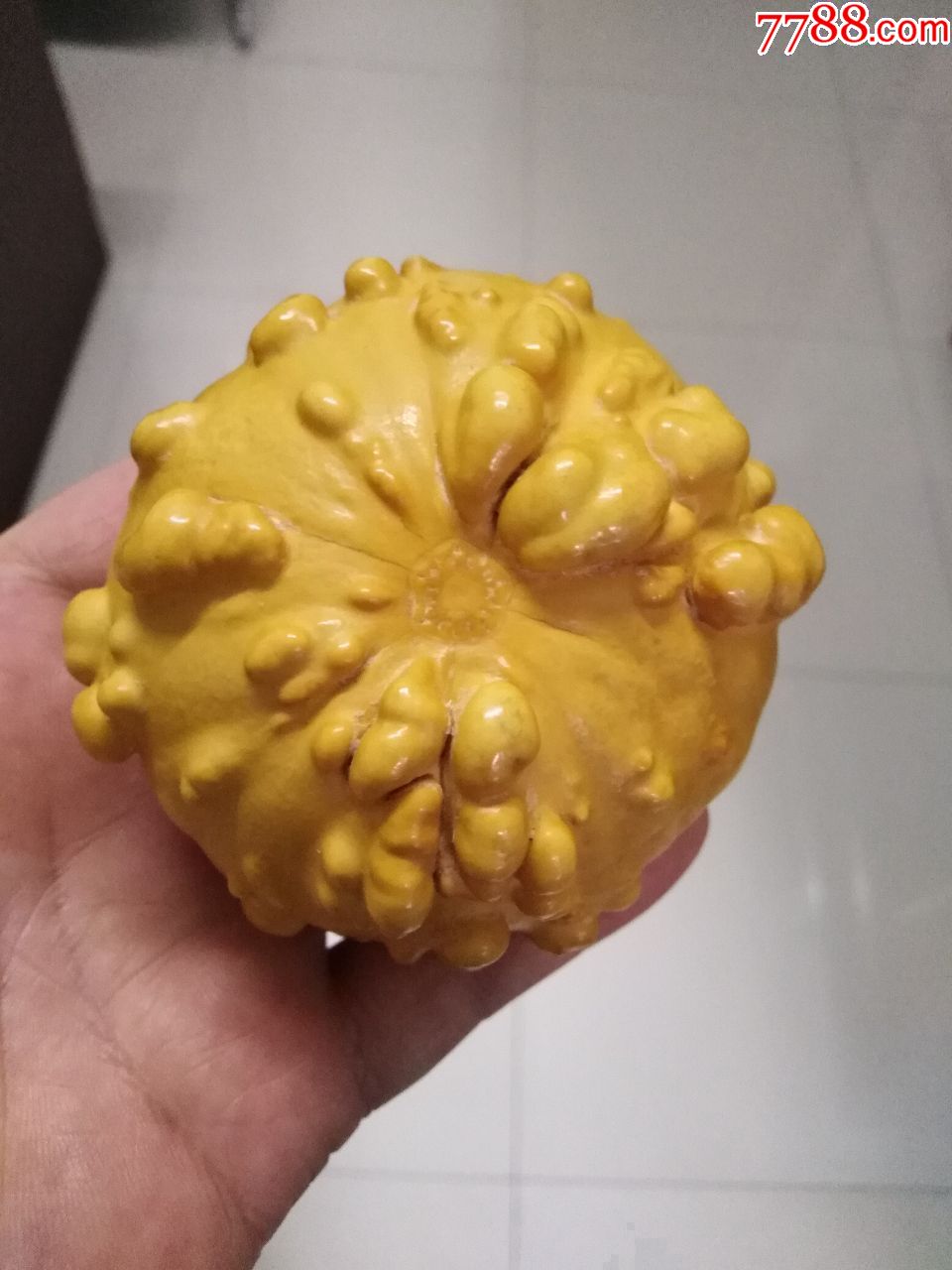 外国品种中型疙瘩葫芦