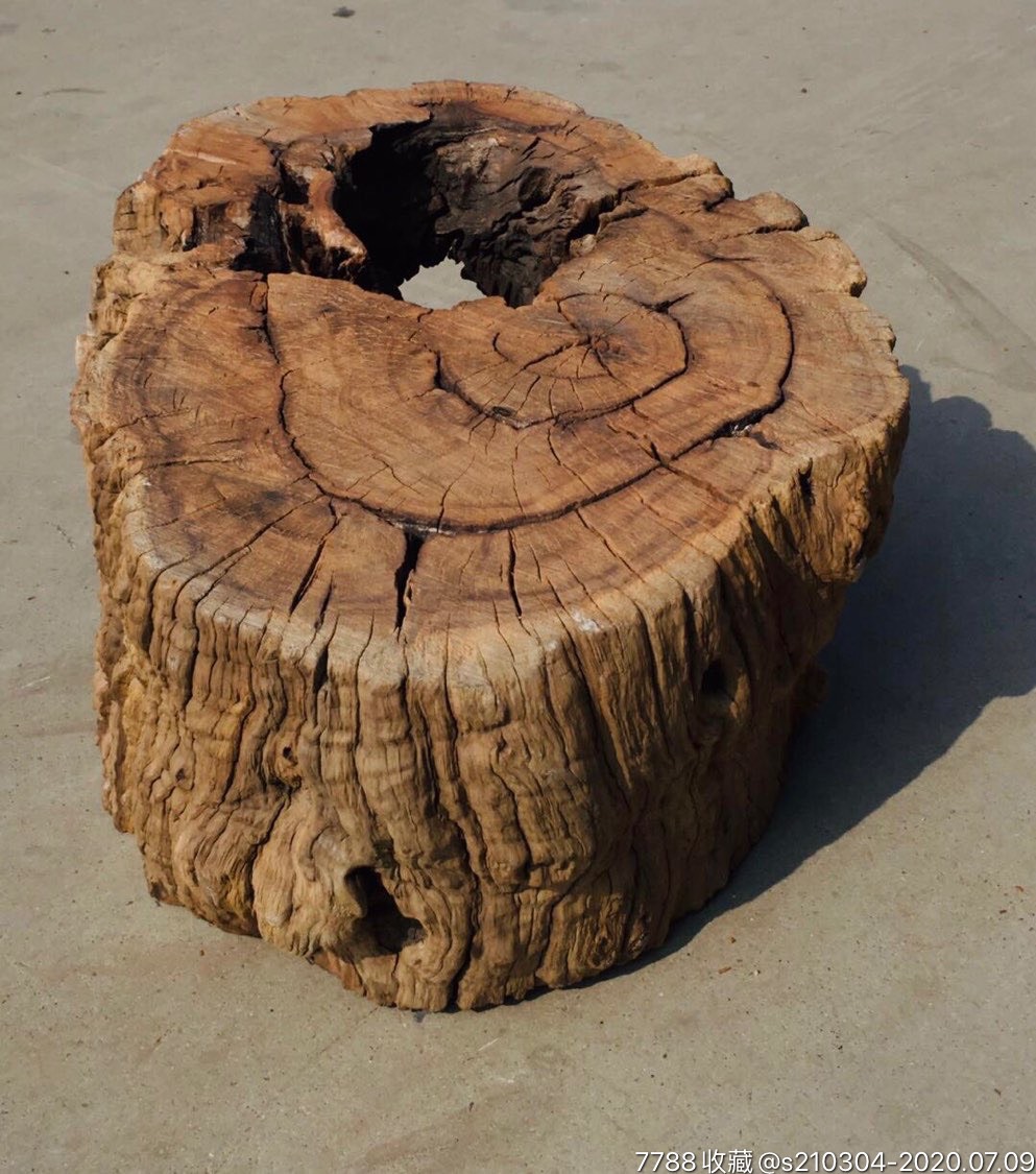 枣木墩,自然风化,全品包老