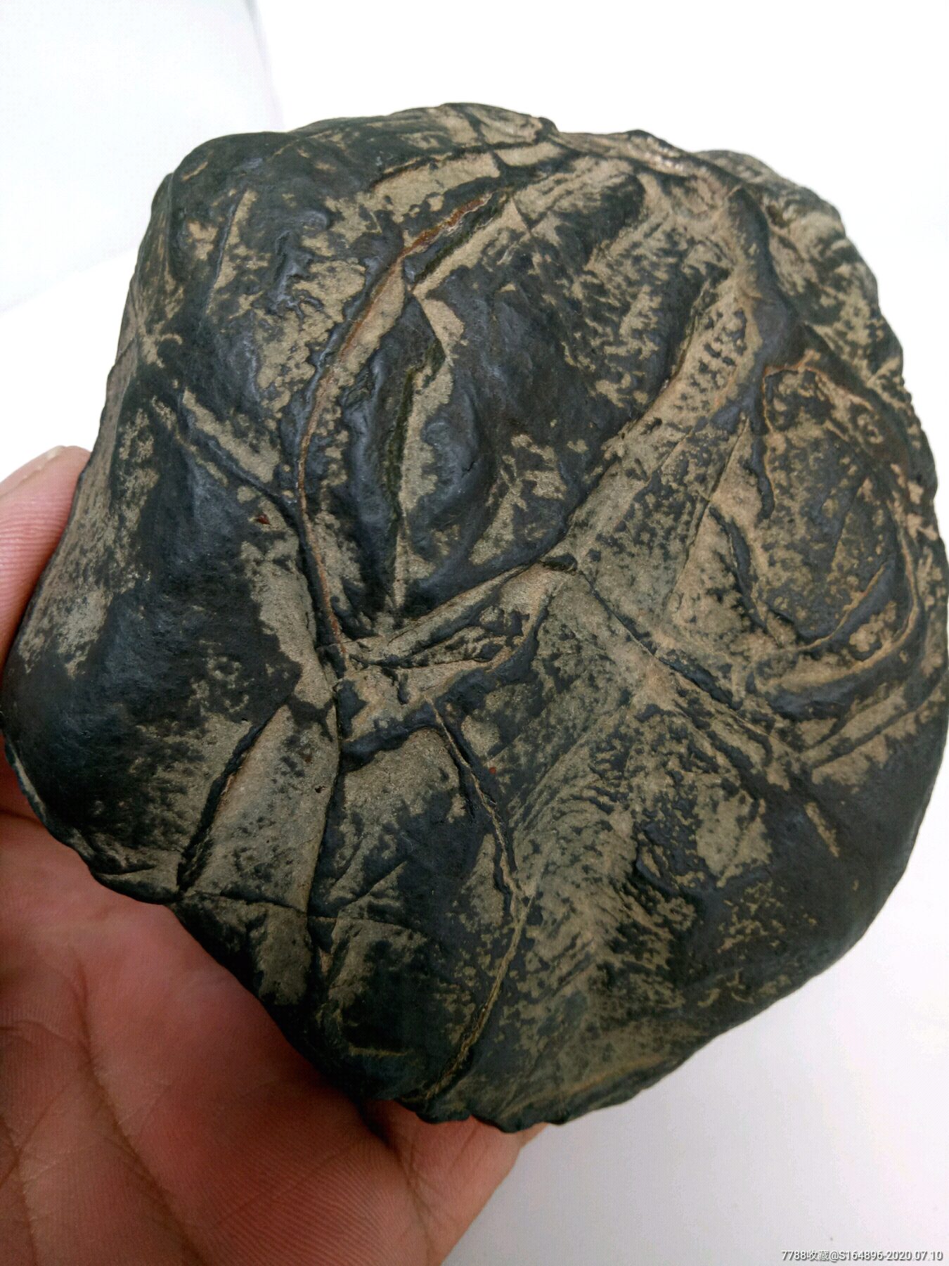 灶神星陨石,强磁