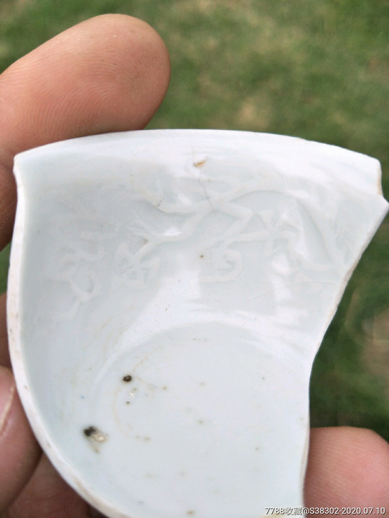 成化年制白釉卵白釉甜白釉杯子临清运河古玩店万枚瓷片标本馆