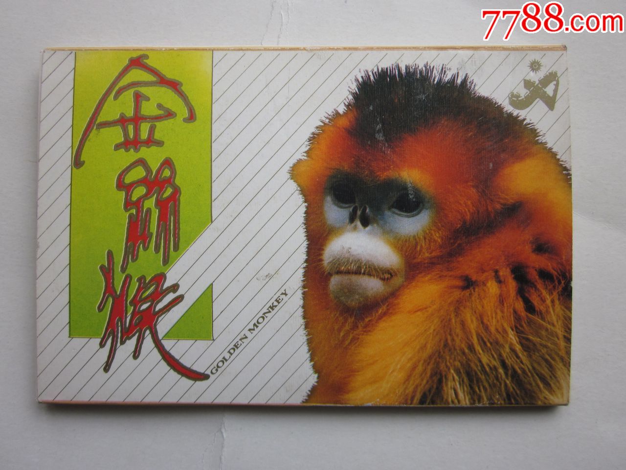 金丝猴邮票500万图片