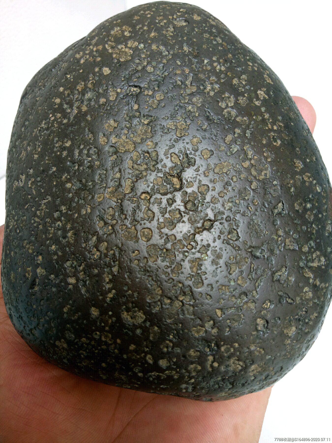 黑金凤凰橄榄陨石图片