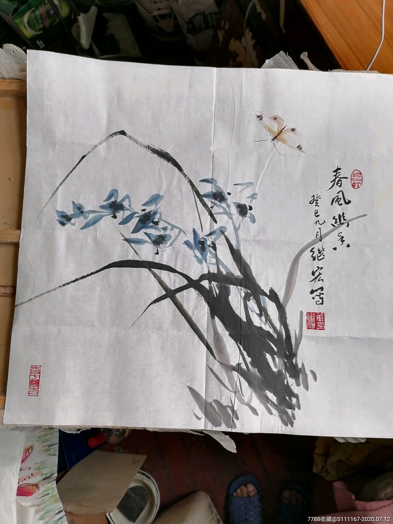 青岛单继宏兰草