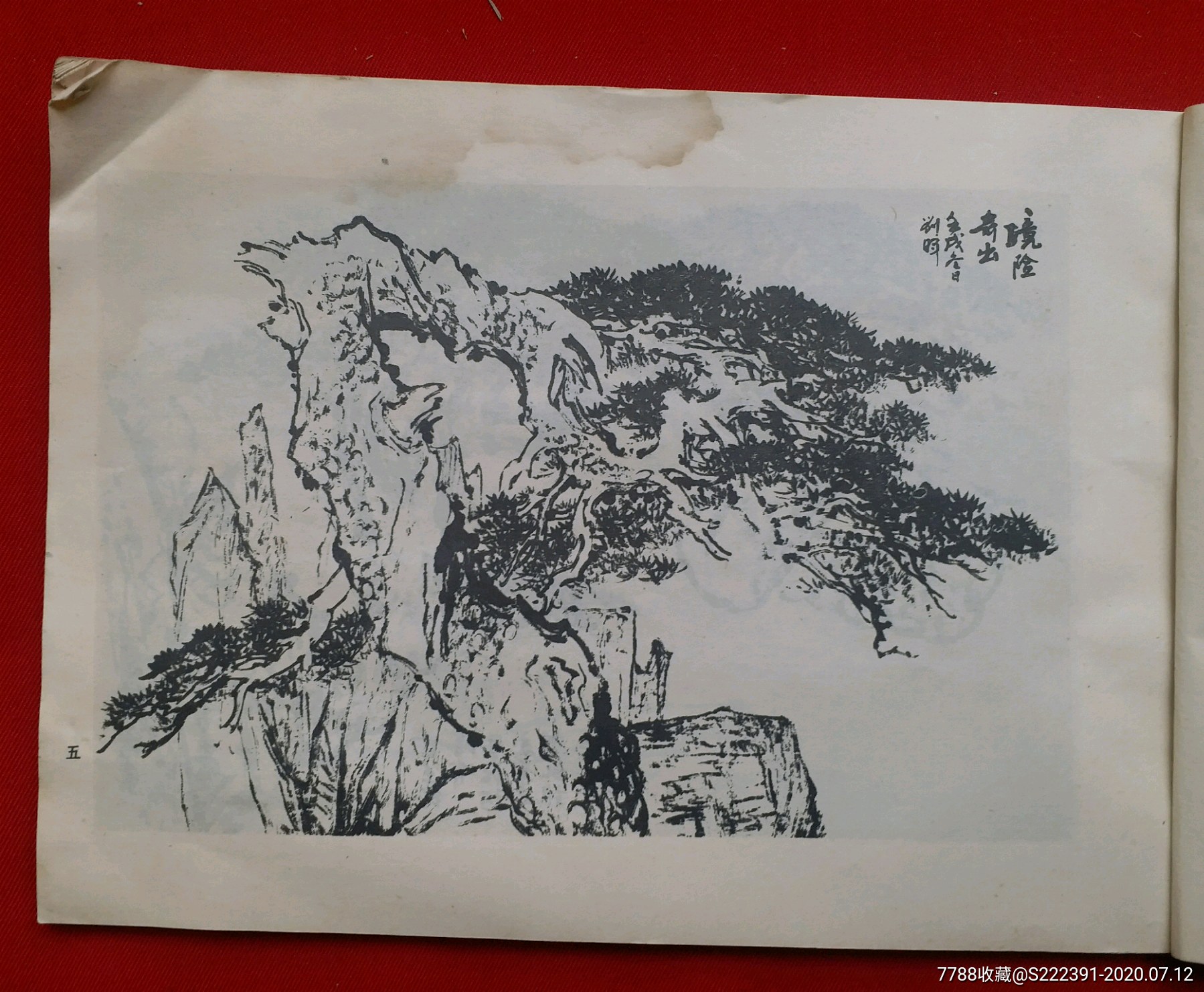 首页 零售 国画画册 >> 著名画松大家刘晖《黄山松》横16开画集,精选