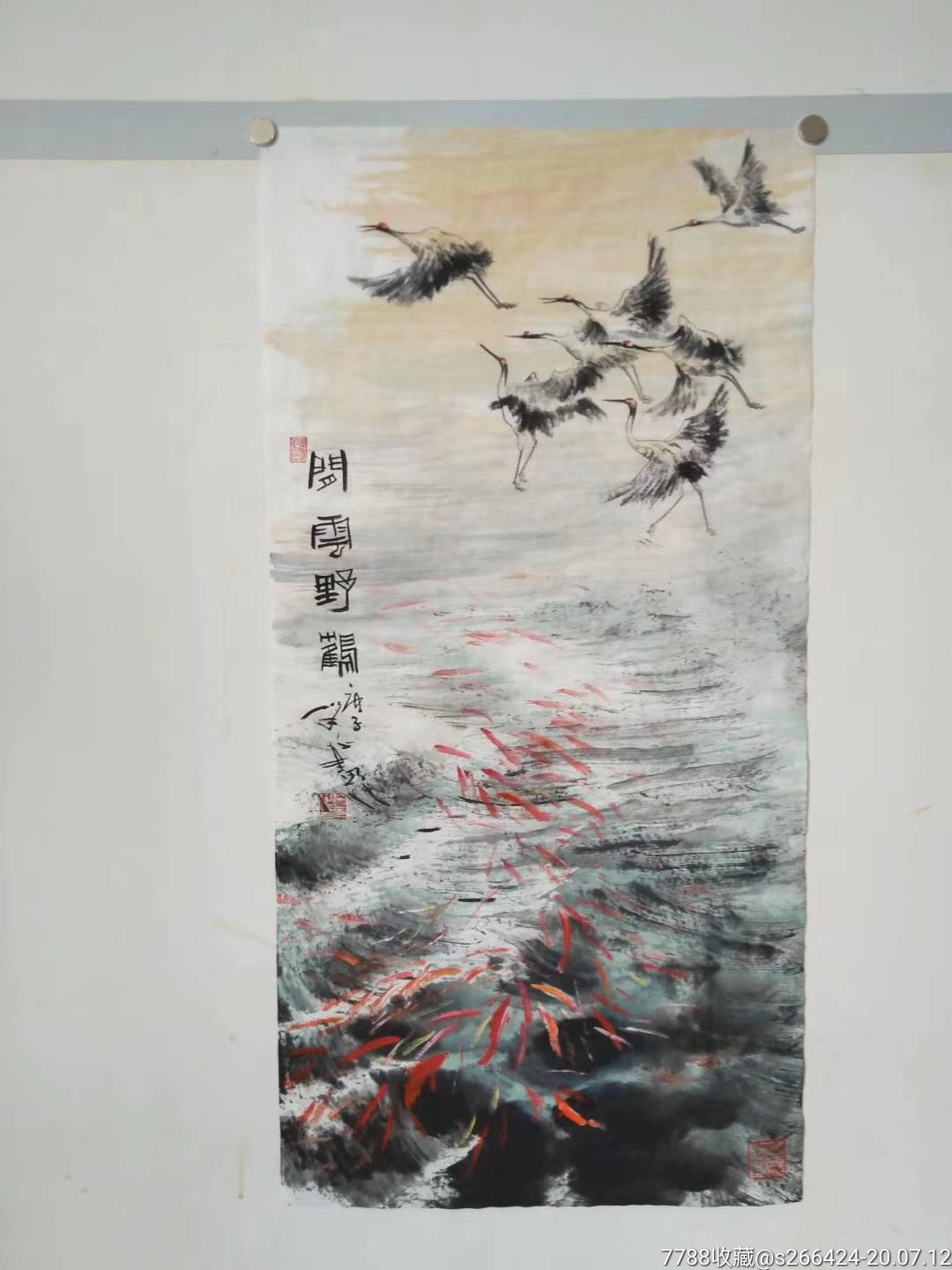 中国鱼王徐元闲云野鹤