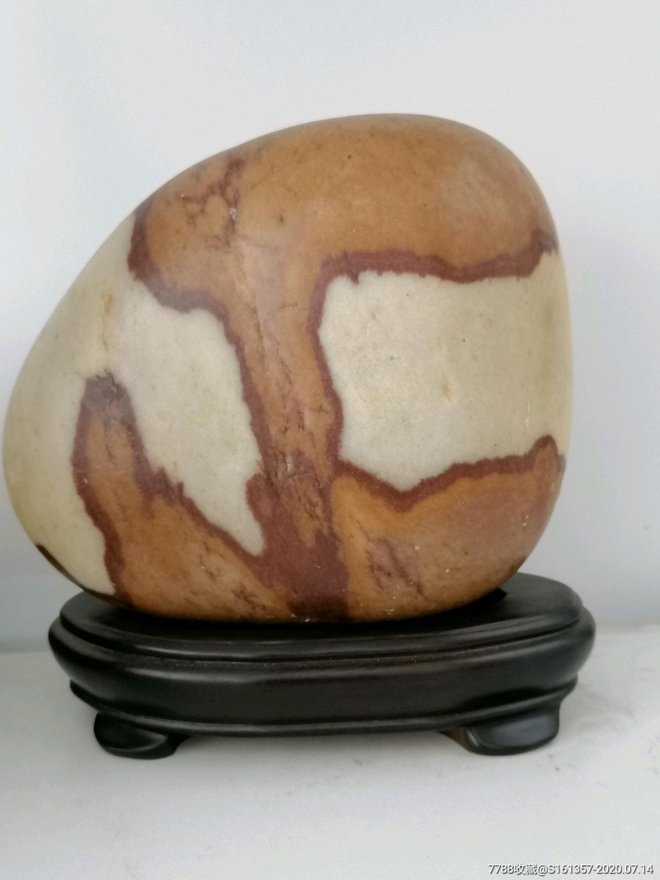 长岛球石大树底下好乘凉