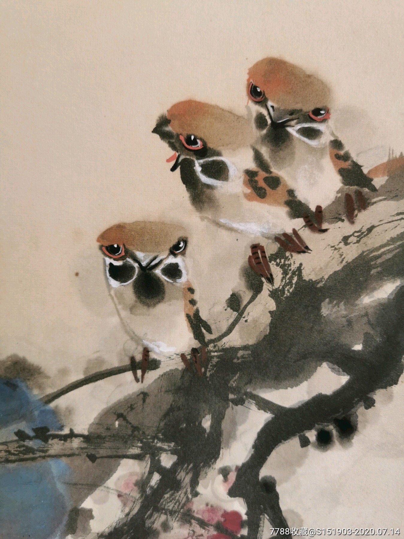 陈德宏花鸟2尺共道人间春色满三只麻雀喜上太梅梢.