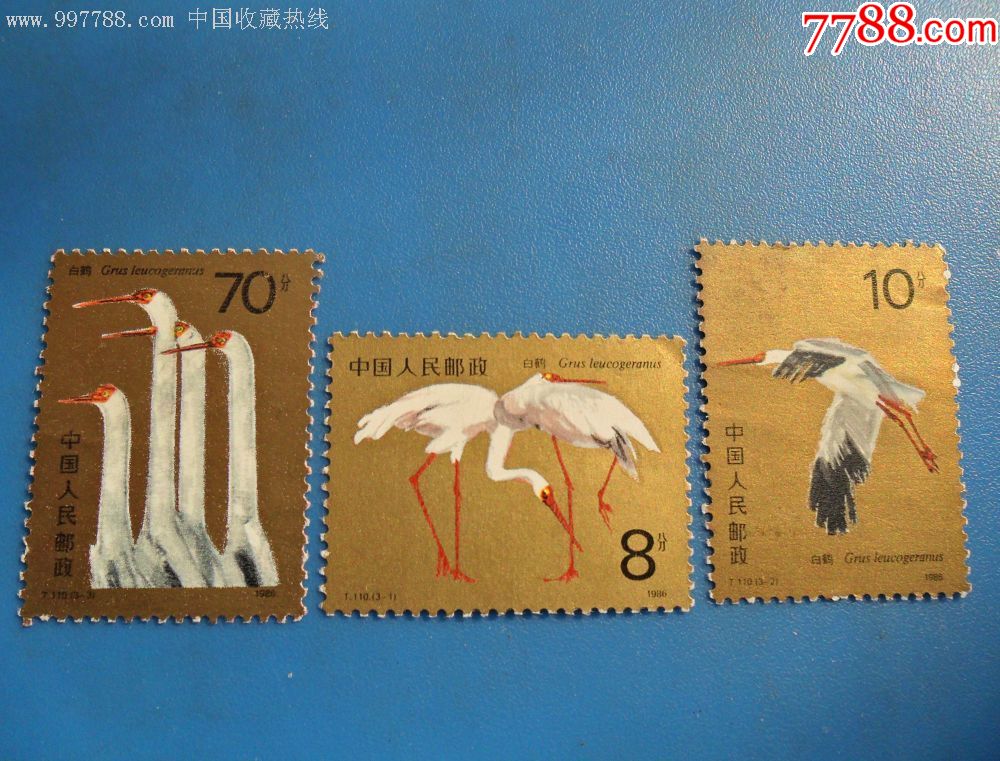 t110,白鹤-新中国邮票-7788邮票收藏