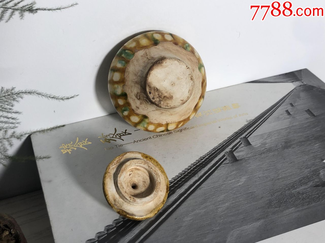  !doctype html>  html lang="en">  hea