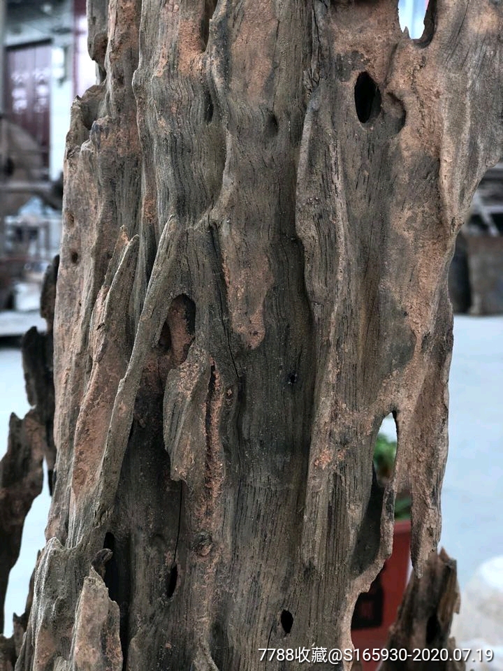 阴沉木上千年的的沉淀冲刷形成的碳化痕迹明显自然造型非常独特器型硕